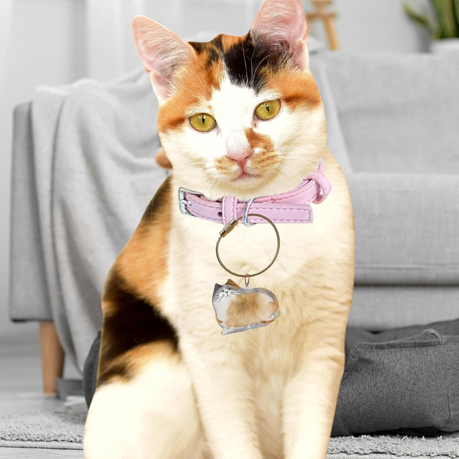 Transparent Cat Hair Storage Box, Cat Hair Storage Bottle, Pet Memorial Keepsake, with Meaningful Sympathy, Clear and Compact Design, 4.5Cm, for Friends & Family image number 6