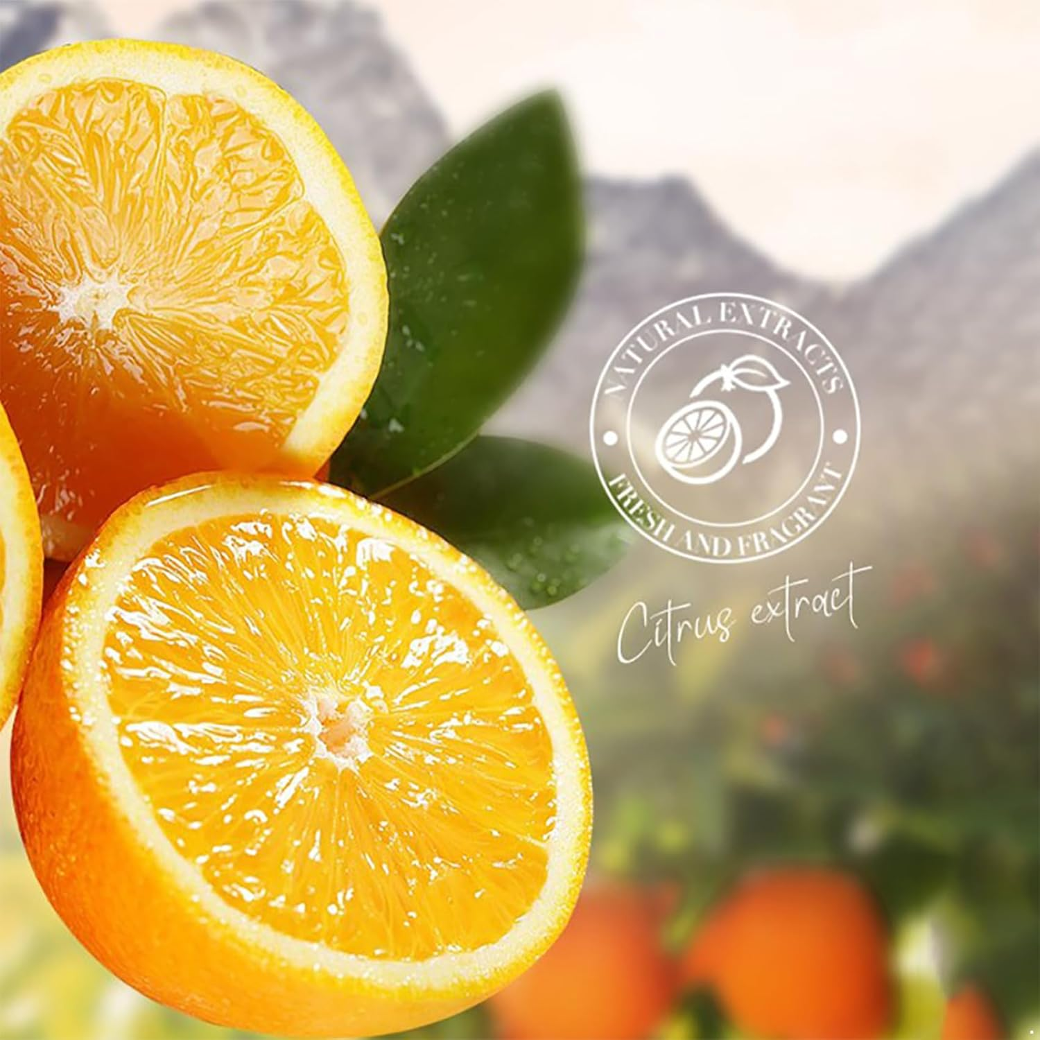 Raenseen 5-Piece Mini Hand Cream Assortment | Fruity & Floral Scented Lotion for Dry Hands, Travel Friendly Skin Care Set Orange One Size - Avocado image number 4