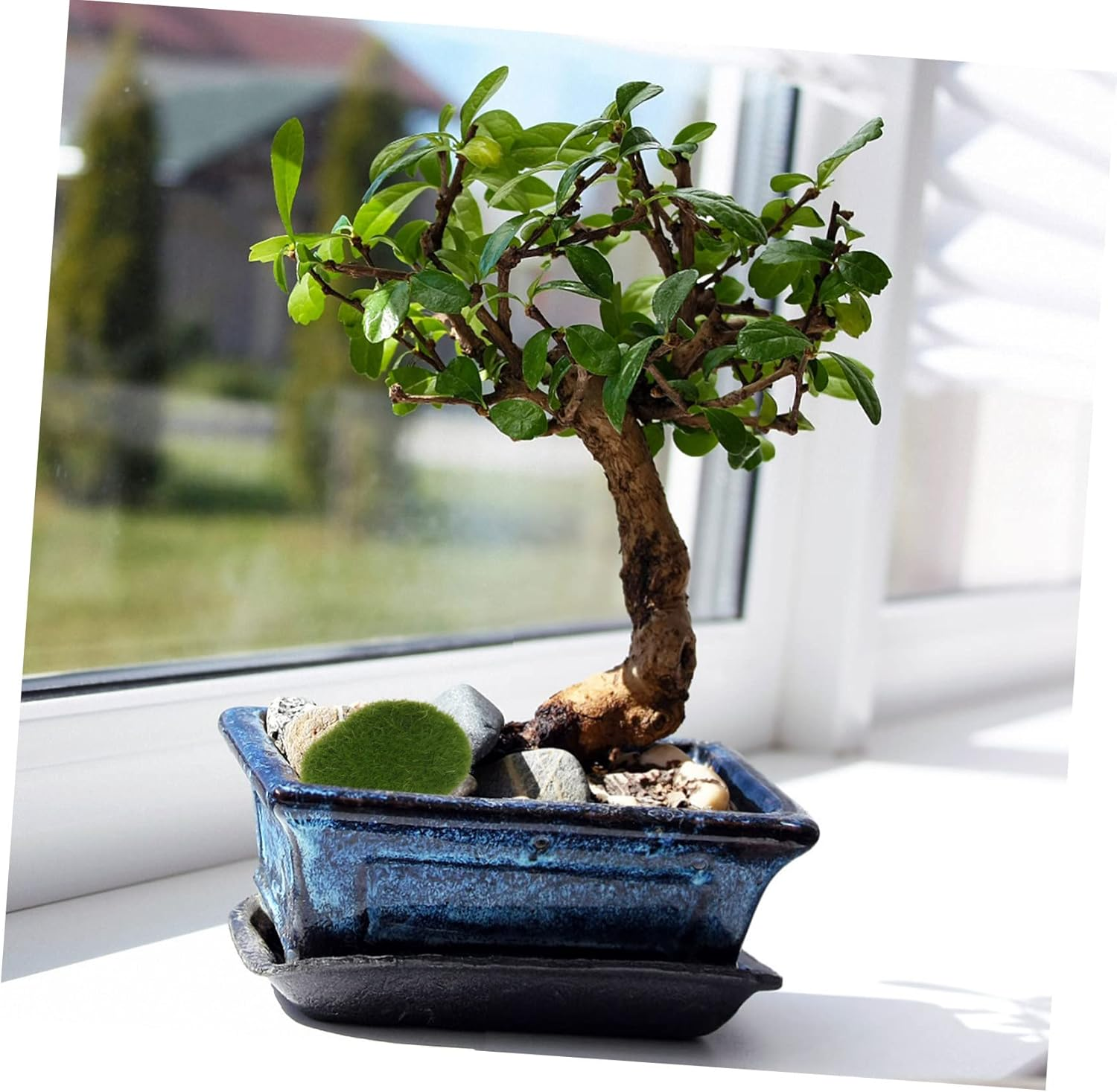 20Pcs Artificial Moss Stone Fish Tank Mossy Stone Faux Stone Simulated Mossy Stone Artificial Rock for Moss Miniatures Terrarium Moss Stones Vivid Mossy Landscape Stone Green Foam image number 5