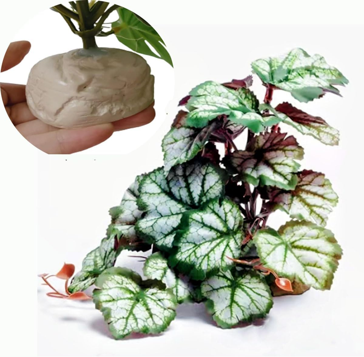 Reptile Plants,Terrarium Decor,Amphibian Habitat Decor,Artificial Plants for Gecko Chameleon Snake Tortoise Tank Accessories with Base（Anthurium Crystallinum）