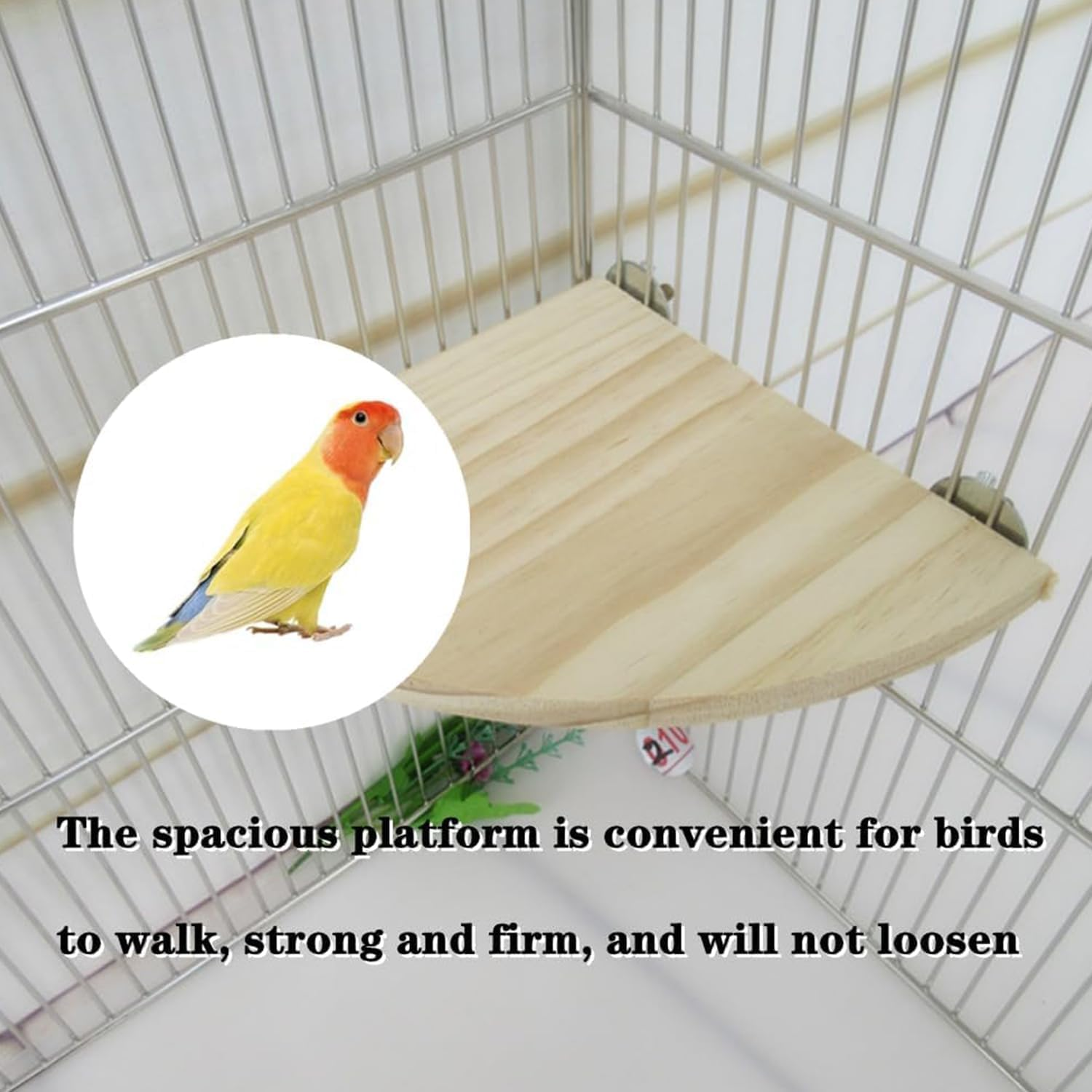Wooden Bird Perch Platform Stand,2Pcs Fan-Shaped Bird Perch Bird Platform Perch,Wood Bird Perch Stand Platform,Bird Wooden Perch Stand Platform,Bird Perch Platform Stand,Parrot Fan-Shaped Perch Stand image number 1