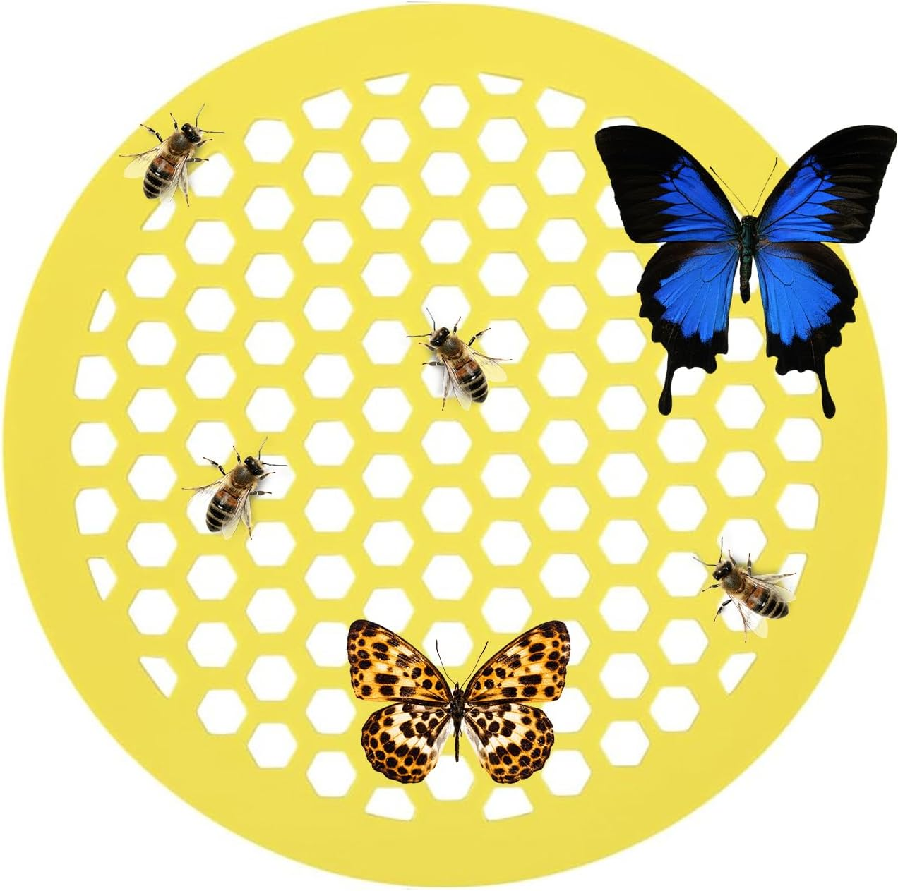 Floating Bee Island - Bee Watering Station, Butterfly Waterer, Honeycomb Feeder Drinker Island Tray, Drinking Station for Garden, Feeding Bath image number 3