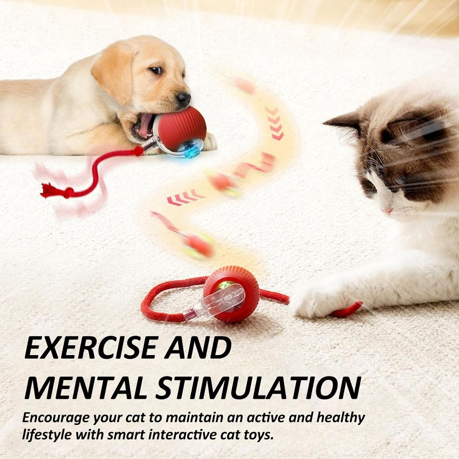 KIZCGE Cat Toys Ball, Interactive Cat Toy for Indoor Cats, 360&deg; Automatic Moving Cat Toy Ball, USB-C Rechargeable Kitten Toys (Red) - Red image number 5