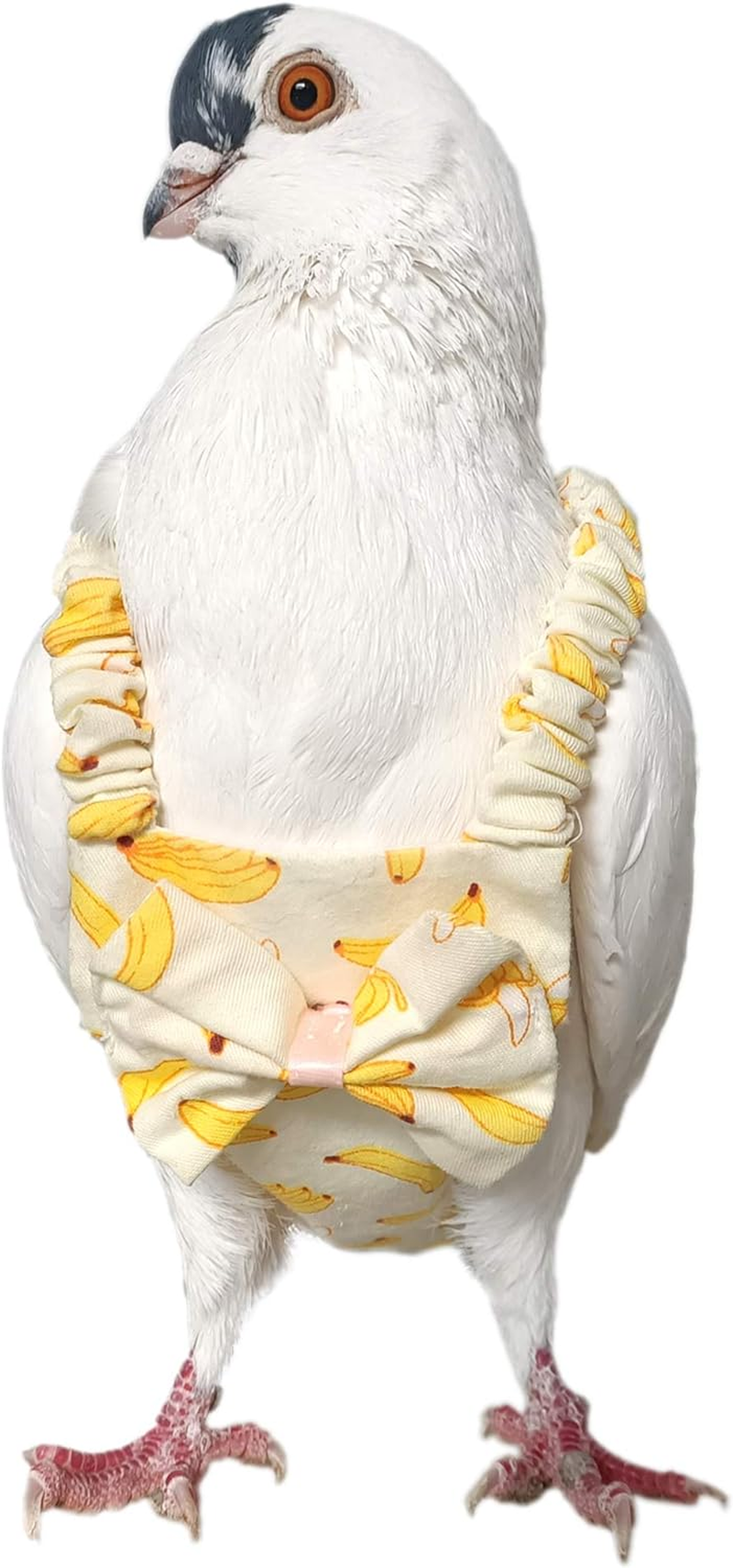 YUYUSO Pigeon Diaper with Leash for Pigeons over 5 Months Old image number 2