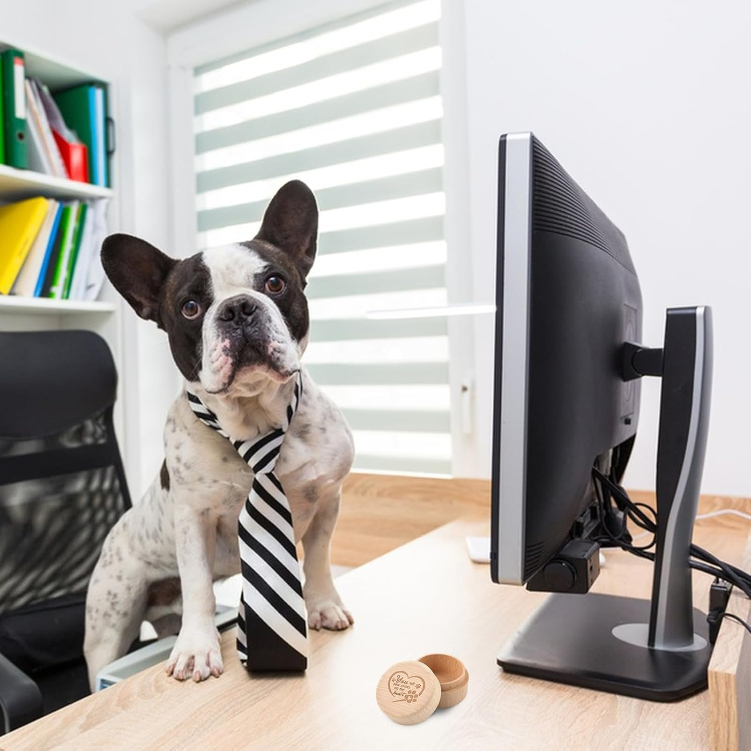 Dog Hair Container: Rustic Wooden Ashes Engraved on Chest, Tooth Memory Keepsake Box | Animal Loss Keepsake Holder, Decorative Pet Urn Pa image number 5