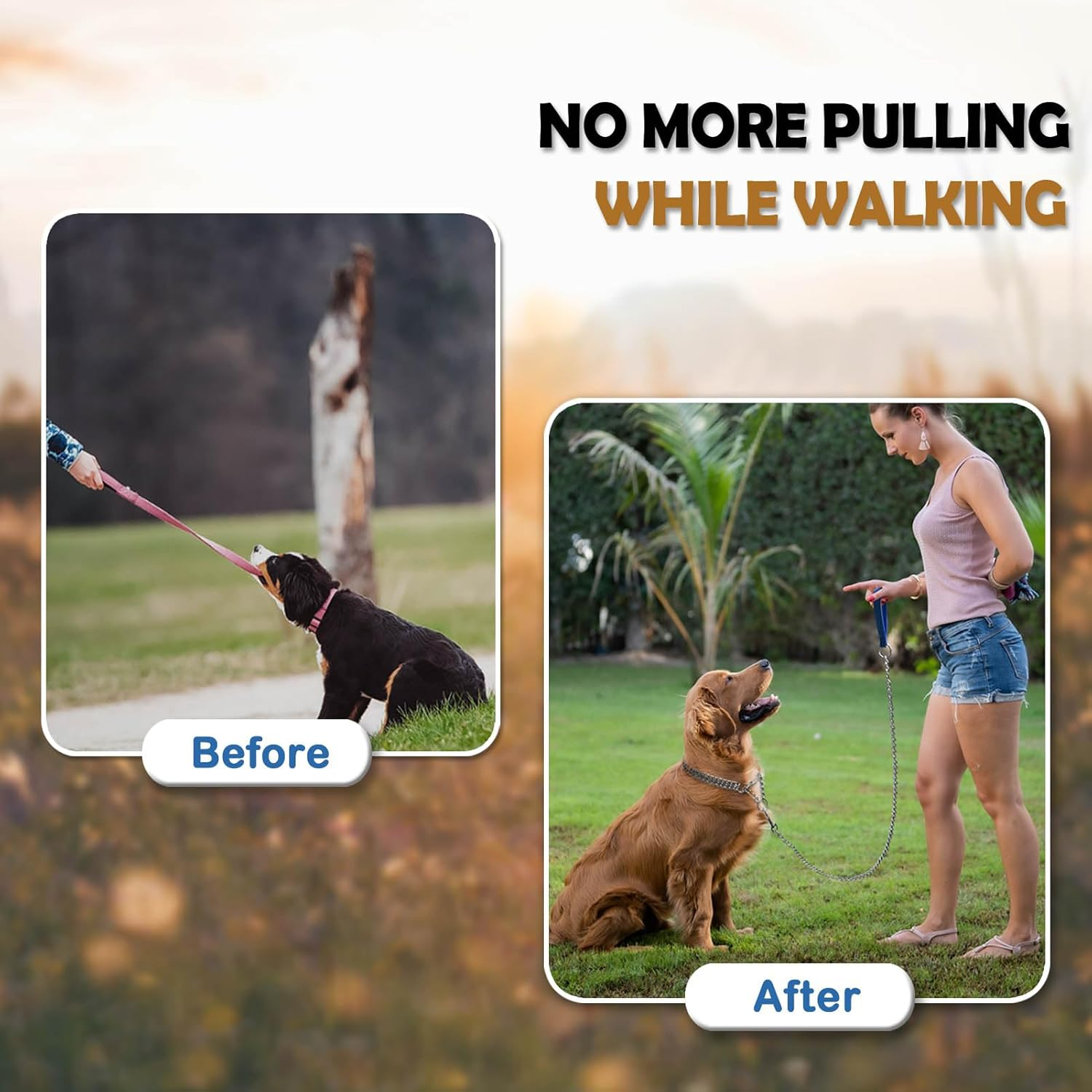 LOS ANDES Dog Chain Collar Metal Martingale Collar No Pull Dog Collar anti Chew Training Collar Chrome Plated Double Link Dog Collar for Small Dogs(Suitable for Neck:30-37Cm) image number 2