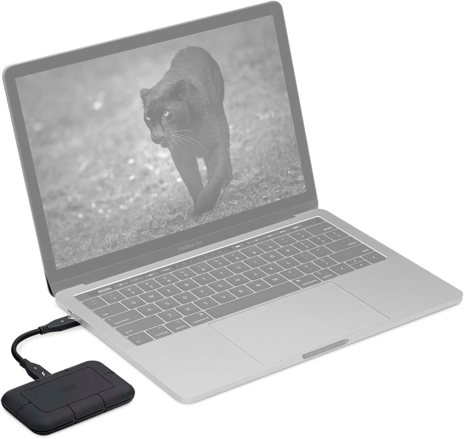 Lacie Rugged SSD Pro, 1TB, External SSD, USB-C, Thunderbolt 3, Extreme Water Resistance, Mac, PC, 1 Month Adobe CC, 5 Year Rescue Services (STHZ1000800) image number 4