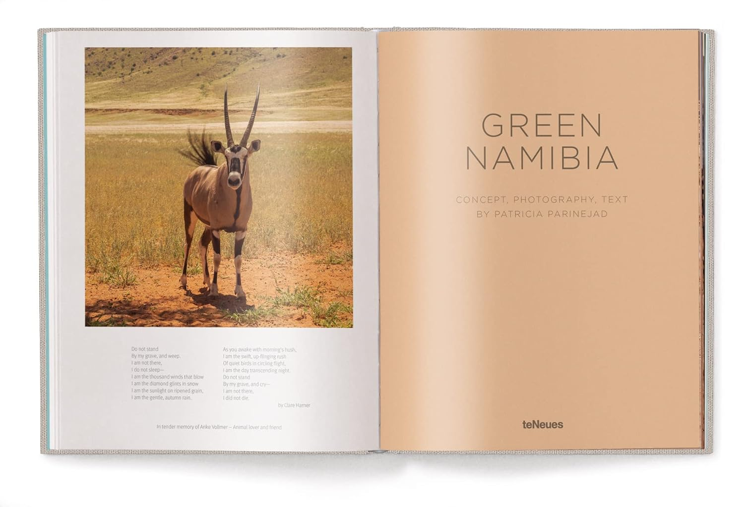 Green Namibia image number 2