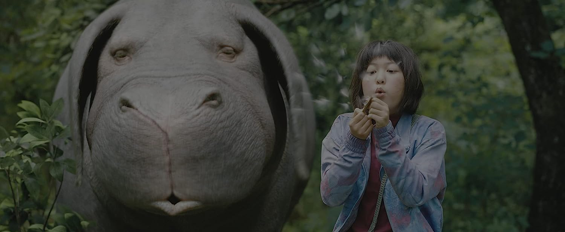 Okja (The Criterion Collection) [Blu-Ray] image number 3