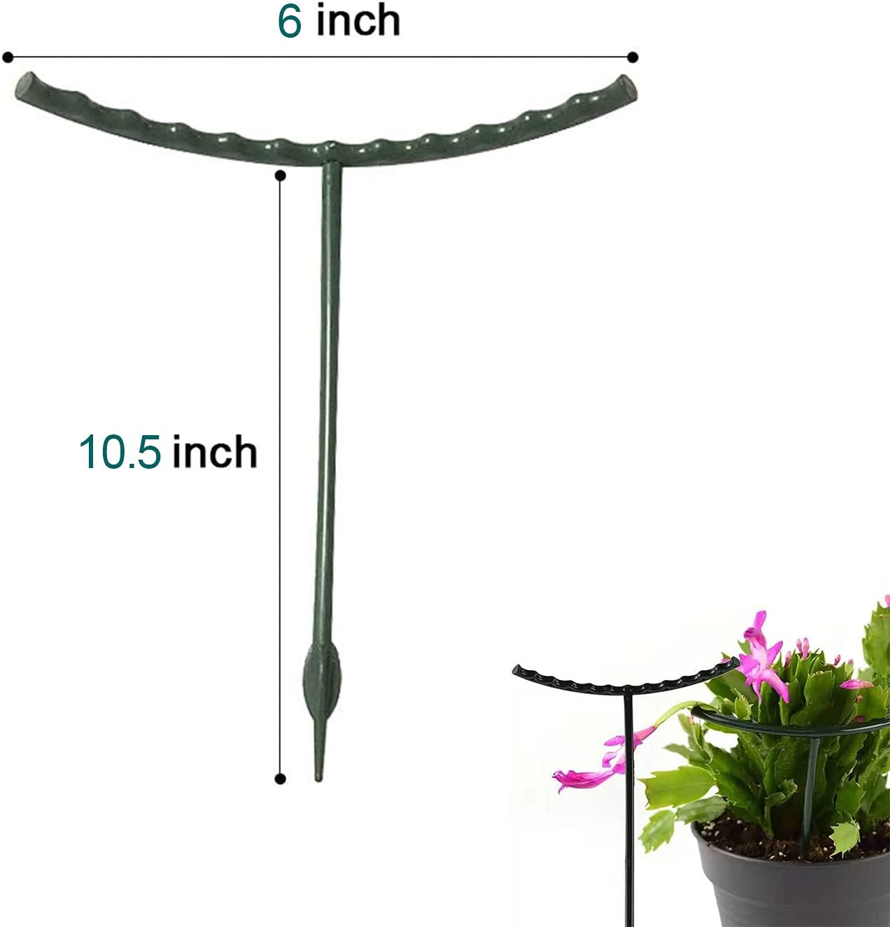 Plant Support for Indoor and Outdoor Potted Plants - Small Half round Plastic Ring Flower Stakes with 20 Garden Clips - 12 Pack image number 2