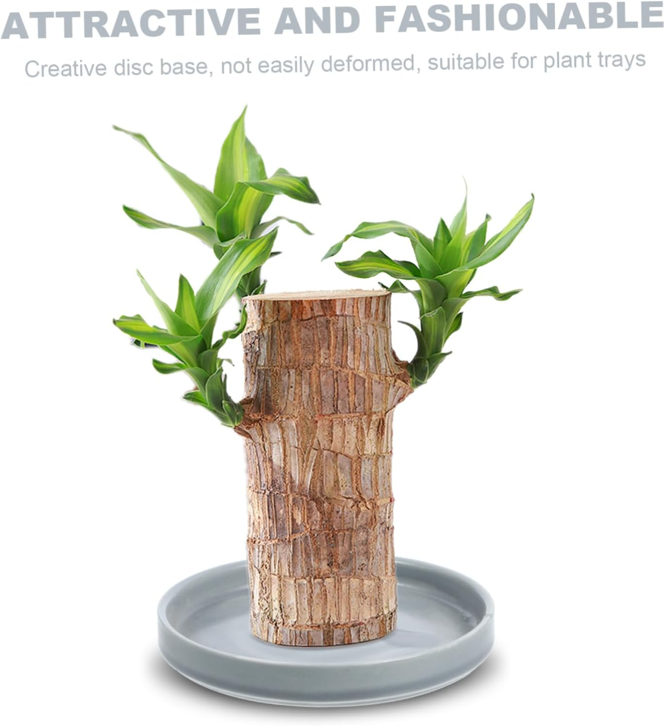 IWOWHERO Flower Pot Drainage Tray Potted Plants Saucer Stable Base for Types of Gardening image number 6