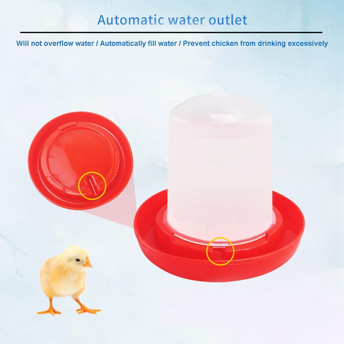 Automatic Chicken Feeder and Chicken Waterer Kit,160G Chick Feeder and 160Ml Chick Waterer,Chicken Water Dispenser,Chicken Drinker,Easy Clean Plastic Feeding and Watering Feeder for Chicks image number 6