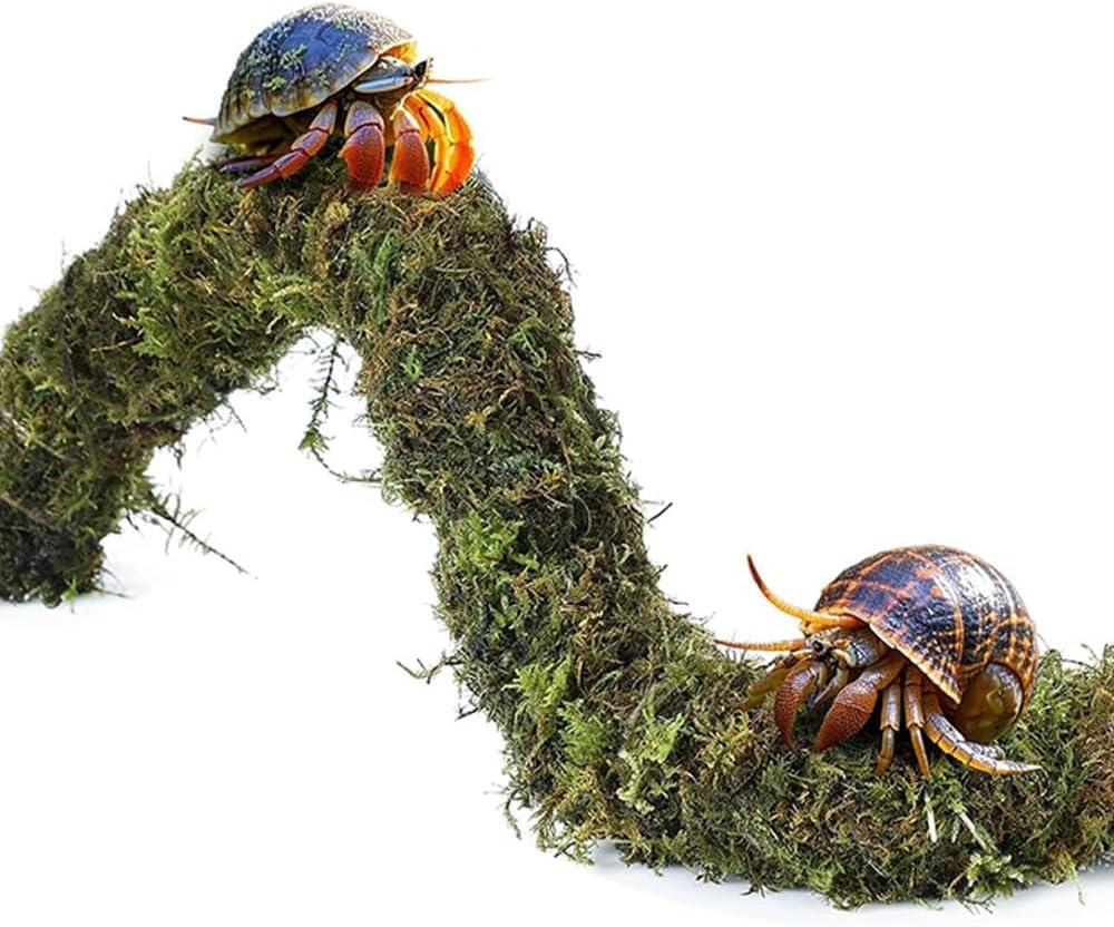 5Pcs Hermit Crab Accessories,Coconut Shell Hideout Hut Plants for Reptile Amphibians Supplies,Hermit Crab Climbing Toys image number 3