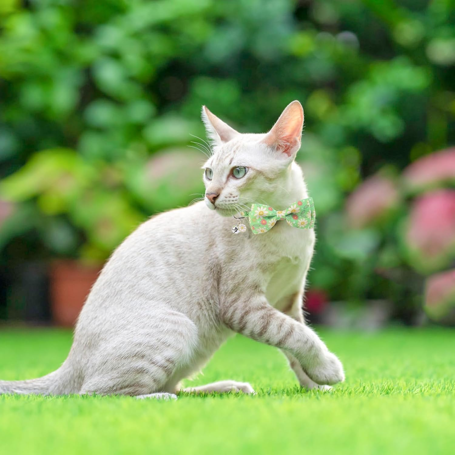 SCENEREAL Cat Collar with Bells, 2 Pcs Breakaway Cat Collars with Adustable Bowtie, Safety Kitten Collar for Boy Girl Cats Puppy, Cute Rainbow & Floral Pet Collar, Green & Purple - Butterfly  Avocado image number 2