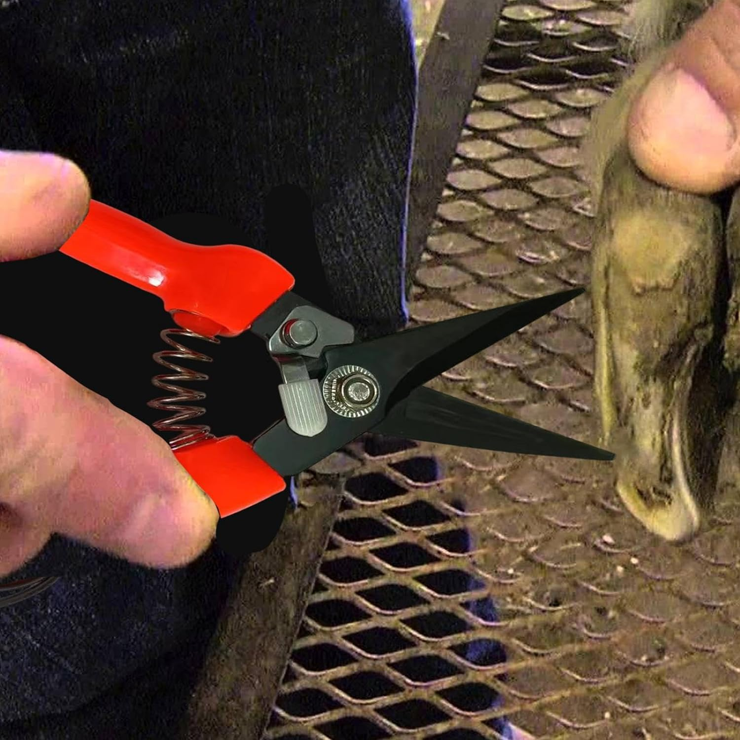 Goat Hoof Trimmer | Ergonomic Sheep Hoof Shears with Spring Load | Precision Nail Clippers for Alpaca, Lamb, Sheep, Hooves image number 2