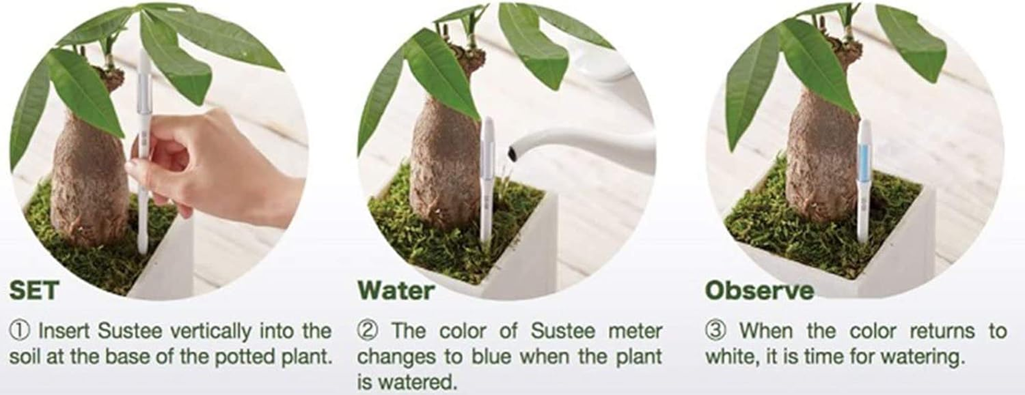 IPPINKA Sustee Aquameter, Bundle of 12, House Plant Soil Moisture Meter, Best for Indoor Potted Plants - Small Green Refillable