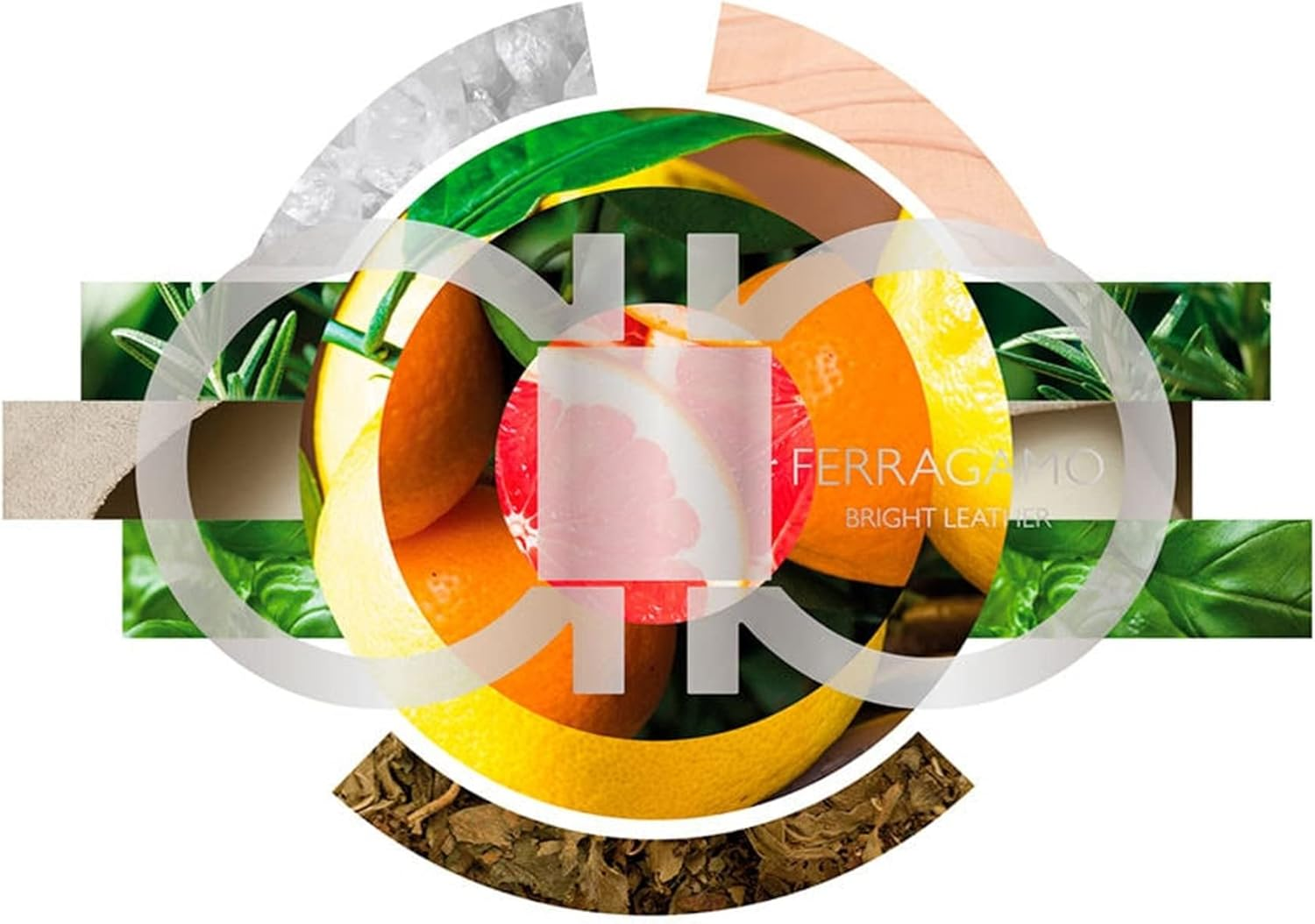 Salvatore Ferragamo Bright Leather Eau De Toilette Spray for Men 50 Ml image number 3