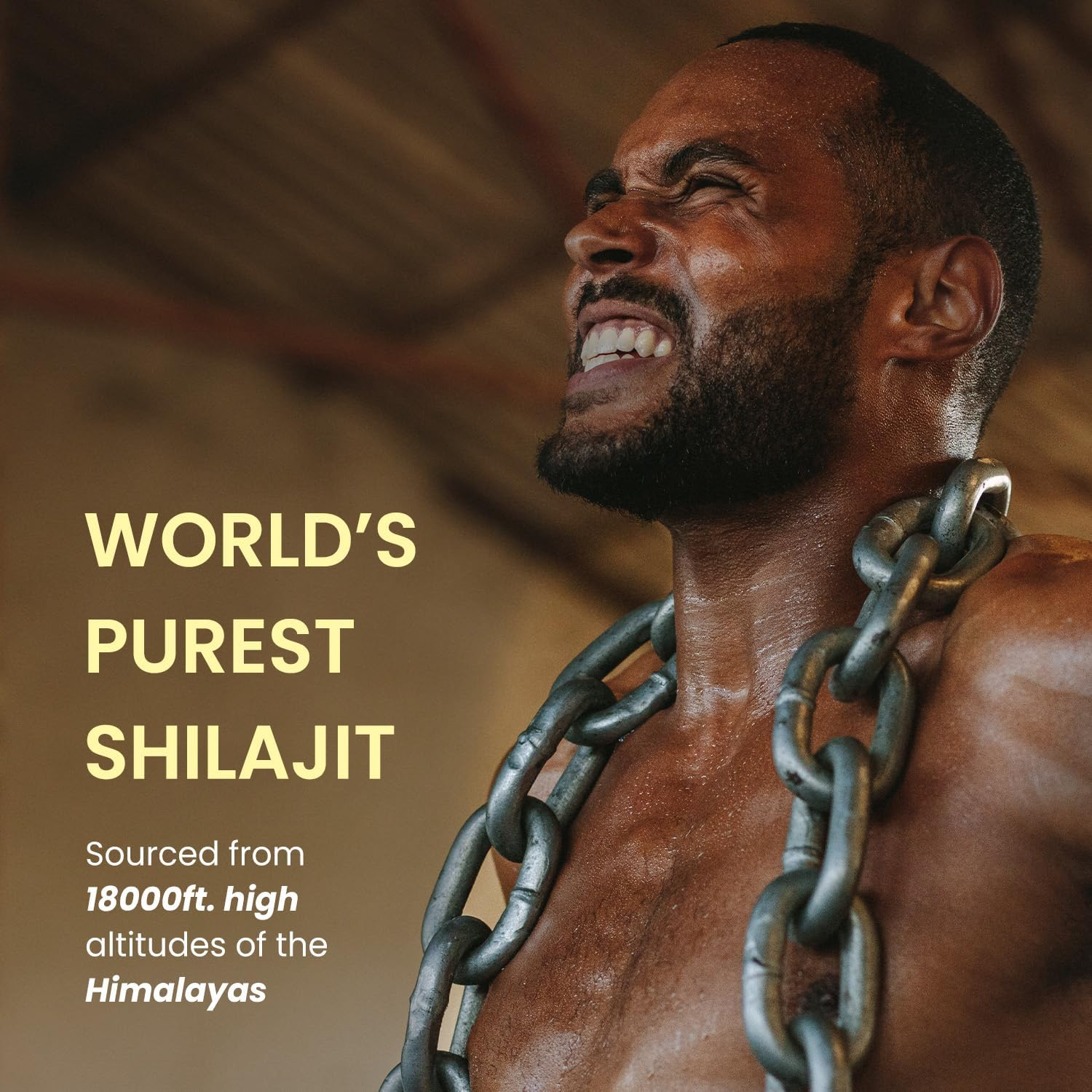 Himalayan Organics 100% Pure Shilajit/Shilajeet Resin to Boost Performance,Power, Stamina, Endurance, Strength with Fulvic Acid & 85+ Trace Minerals Complex for Energy - 20G image number 1