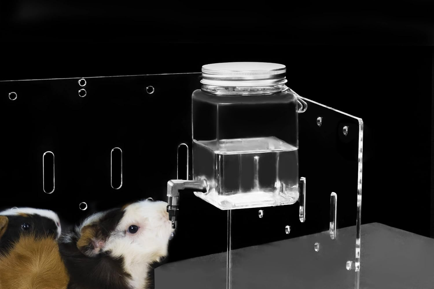 Guinealoft&trade; Clear View Water Bottle for Guinea Pigs & Birds - the Ultimate Solution by Seasoned Owners Who Tried Everything Out There - Exclusive by Guinea Loft image number 3