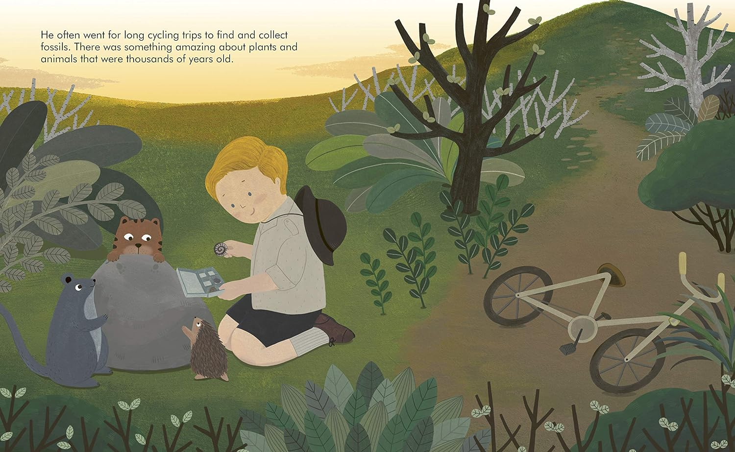 David Attenborough (Little People, Big Dreams): 40 image number 2