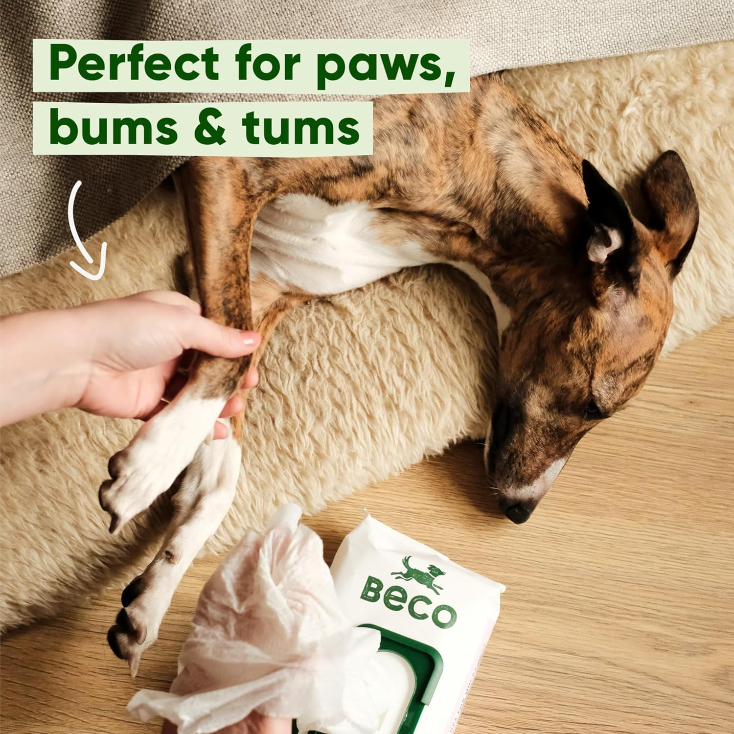 Beco Bamboo Unscented Dog Wipes (Pack of 80) image number 1
