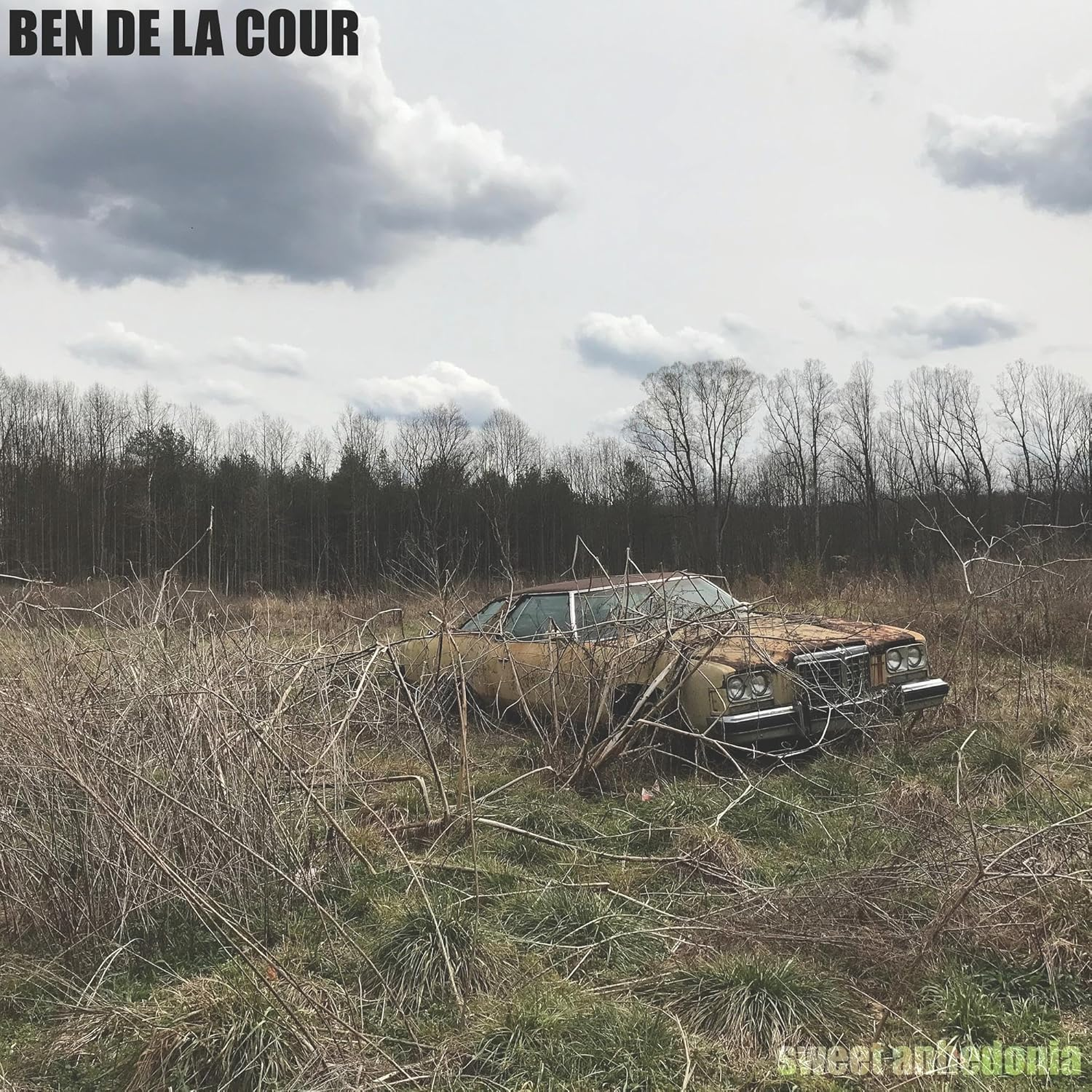 Sweet Anhedonia image number 1