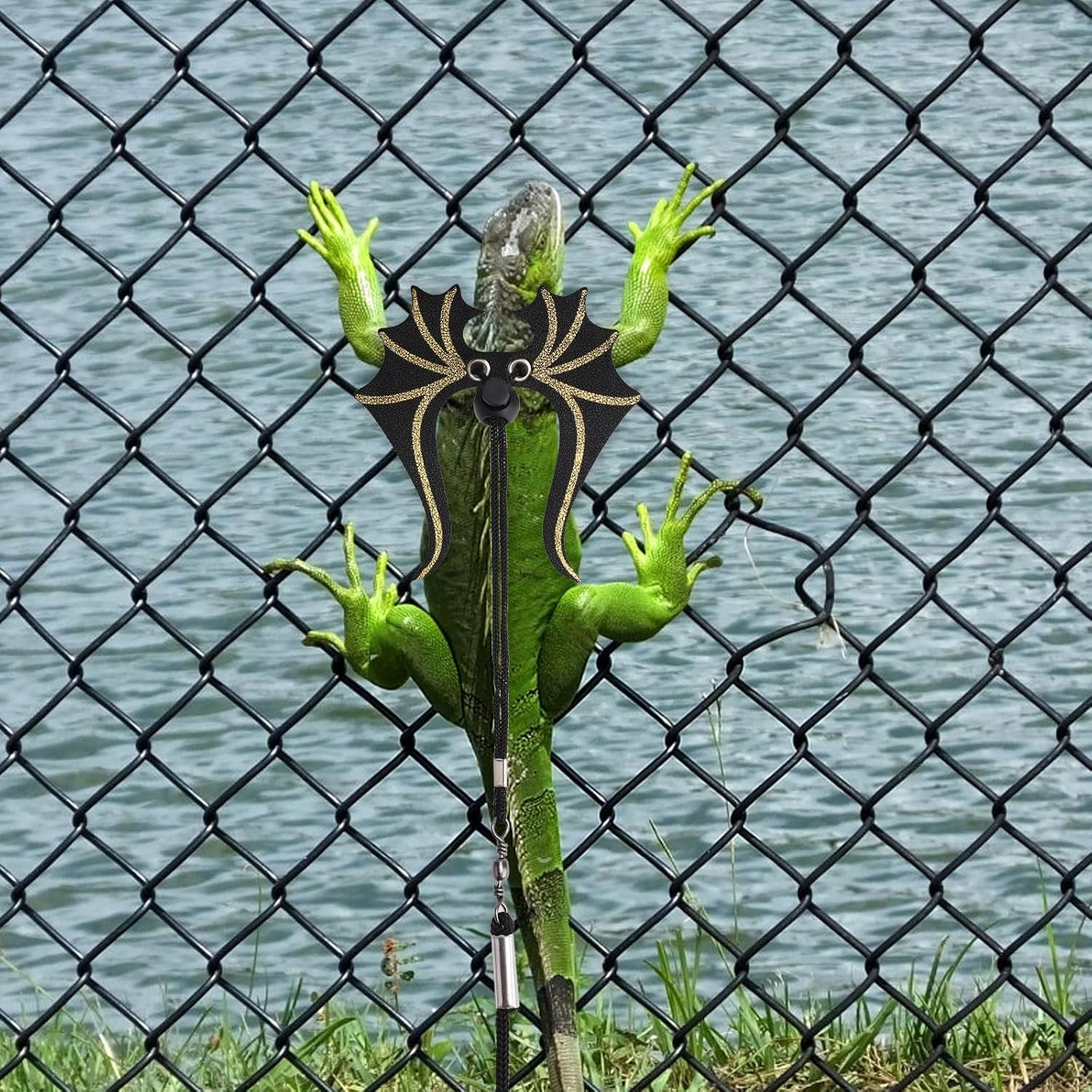 Bearded Dragon Leash and Harness Set, Adjustable Reptile Harness and Leash Cool Bearded Dragon Accessories for Small Pet Animals Reptile Outdoor Safety Walking