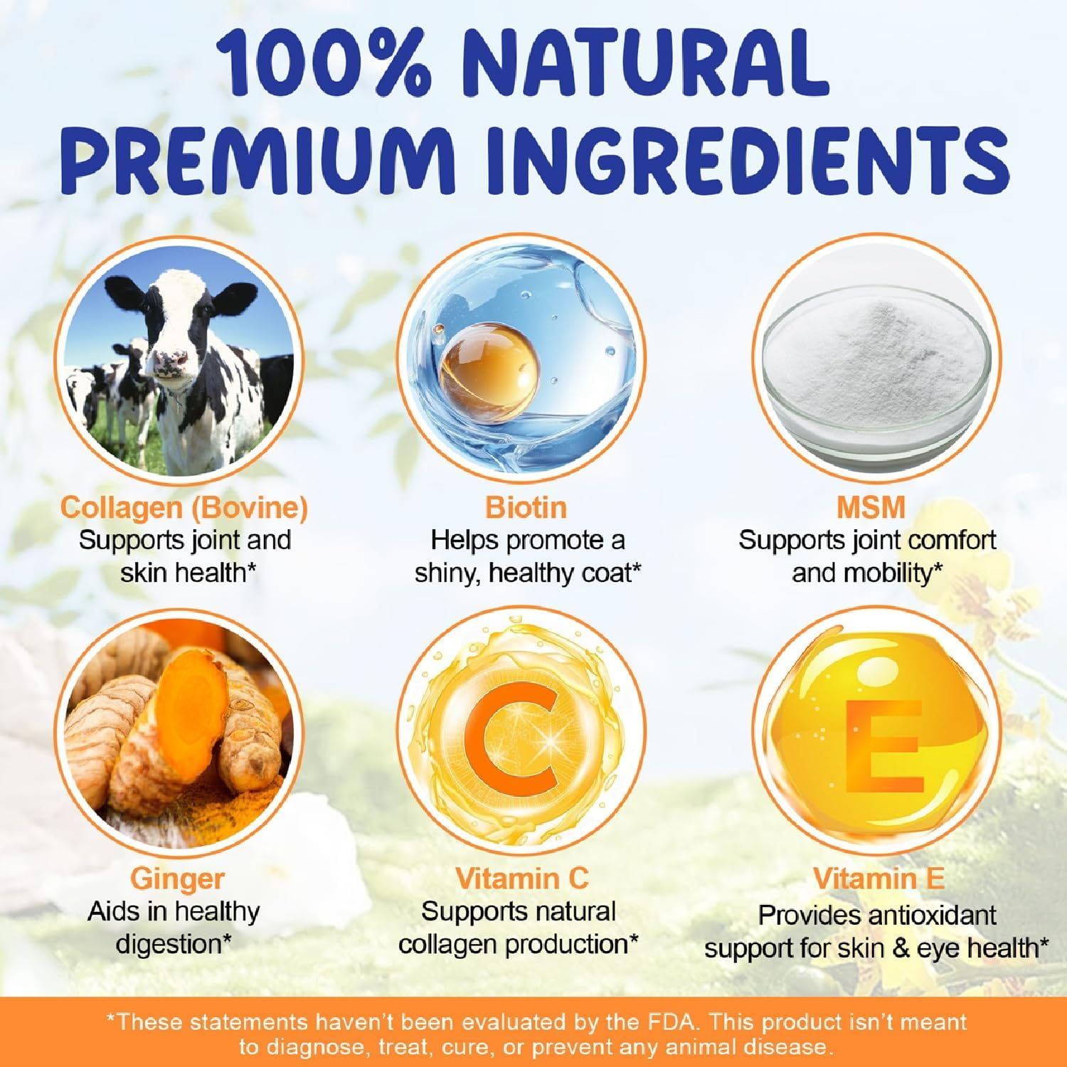 Liquid Collagen for Dogs with Biotin, MSM & Ginger - Supports Joint Health, Skin & Coat, Digestion & Immunity | Itch Relief & Shiny Coat Supplement | Easy-To-Use Drops (60Ml) image number 4