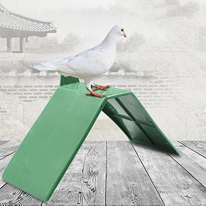 Pssopp 10 Pcs Plastic Small Green Anti-Skid Design Dove Rest Stand Pole Barches Bird Supply, Suitable for Pigeons and Other Birds, High Reliability with Pigeon Rust Frame image number 6