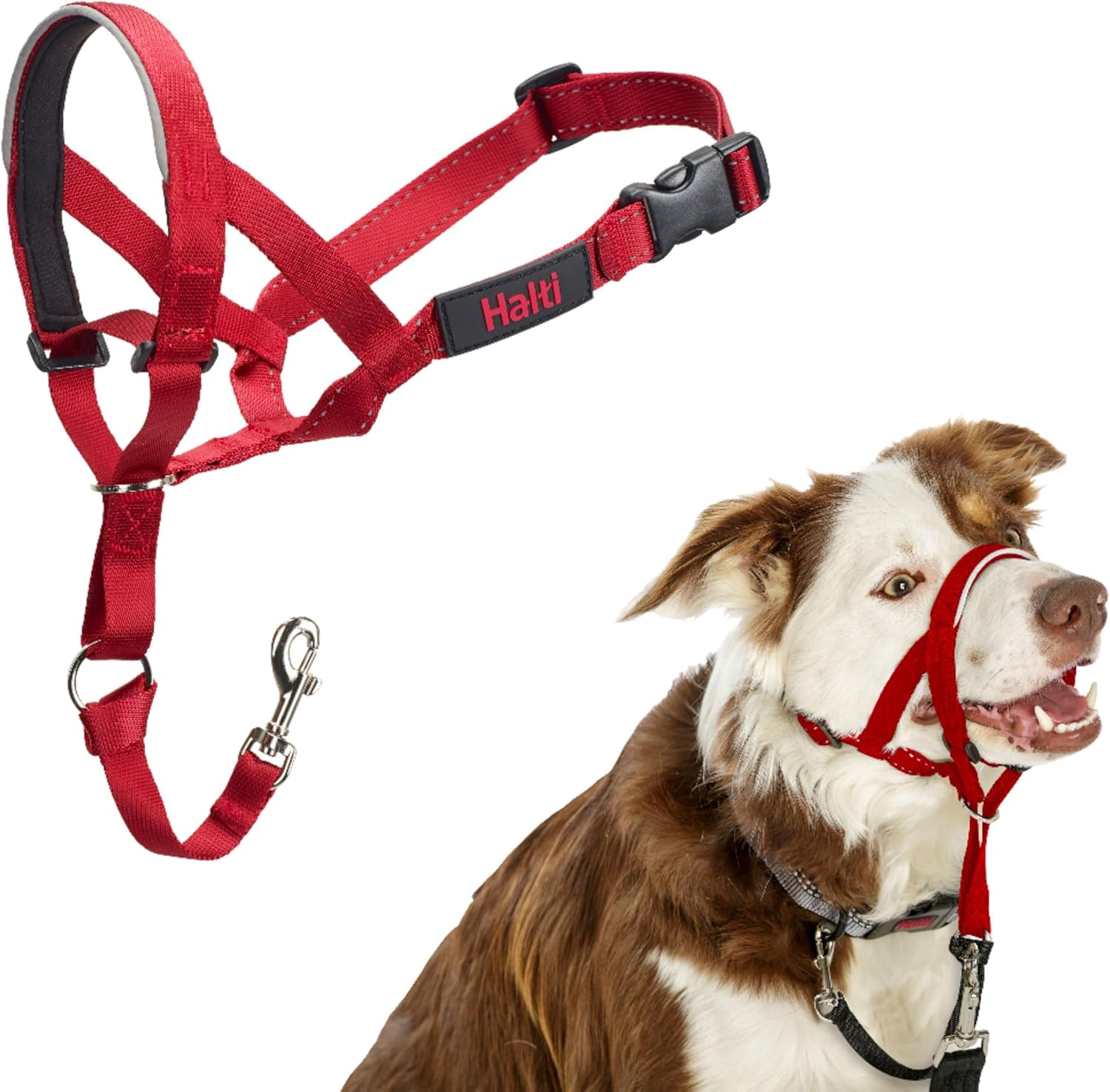 Halti Dog Training Headcollar, Red image number 4