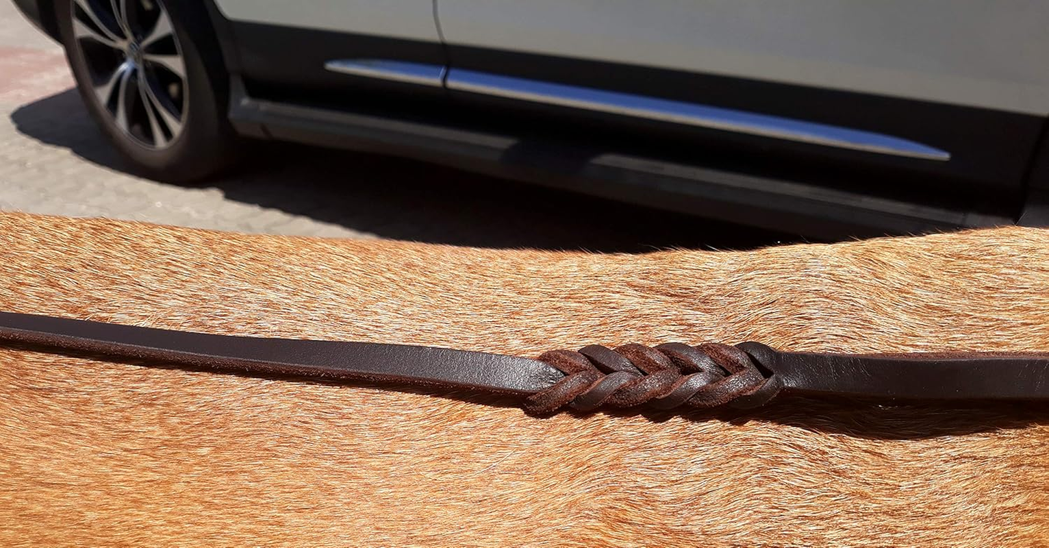 Dingo Soft Leather Show Lead with Braided Handle, Handmade, Dog Exhibition Leash, Brown 10700 - Brown image number 6