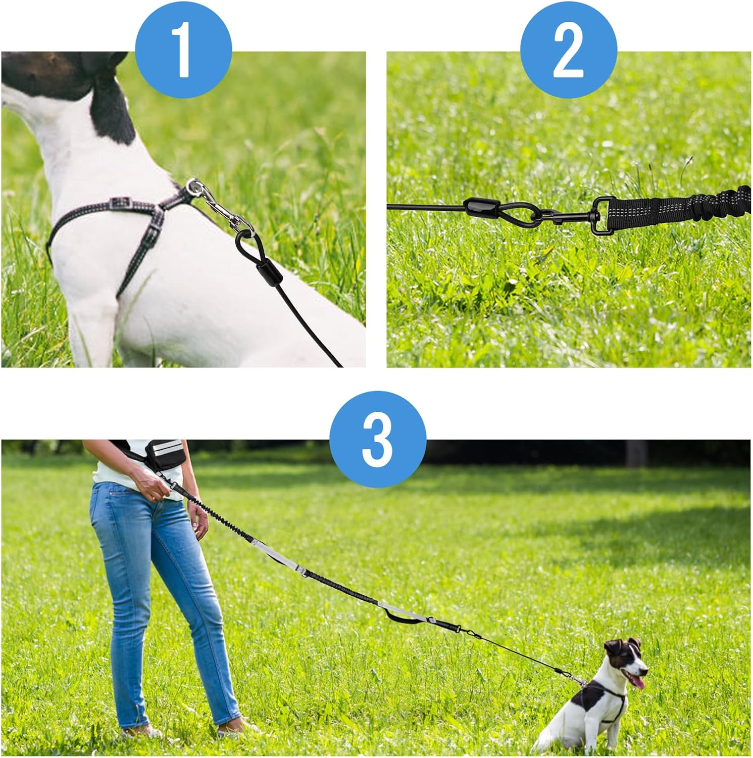 Enbluy Chew Proof Dog Leash - Metal Cable Lead No Tangle Multiple Dog Leashes for Small and Medium Dogs for Collars and Harnesses (1 Pack) image number 3