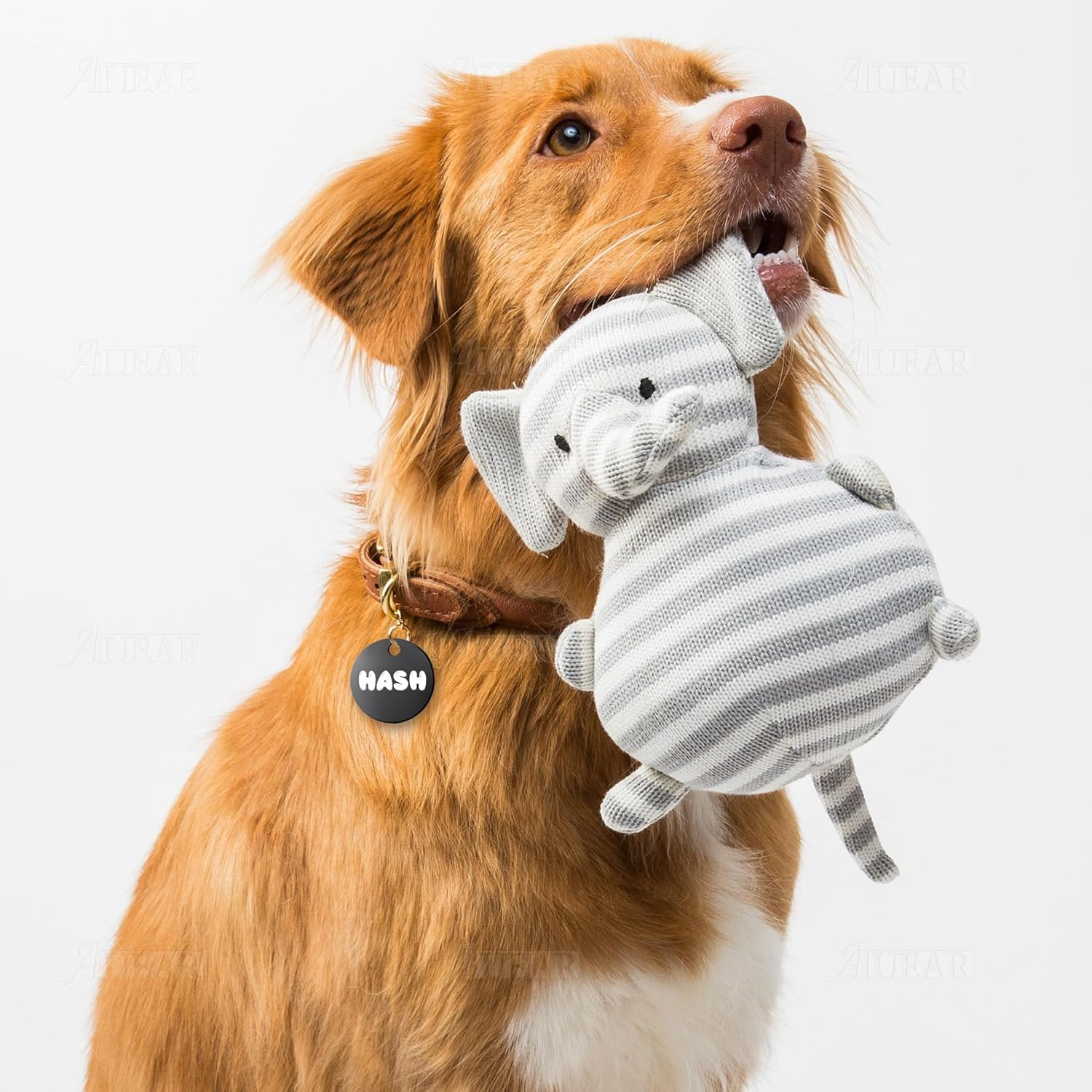 AUEAR, 20 Pack 25Mm round Shape Pet ID Tag Blank Dog Cat ID Tag for Pet Name Phone Charm Jewelry Making (Black)