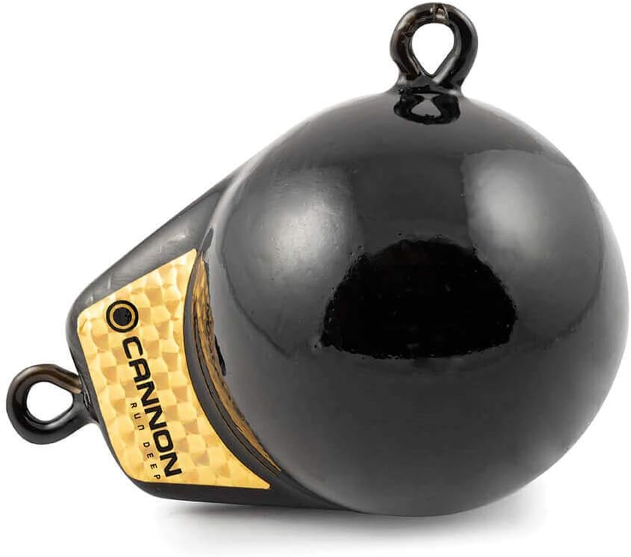 Cannon 2295180 Flash Weight, 6-Pound, Black with Gold Prism image number 1