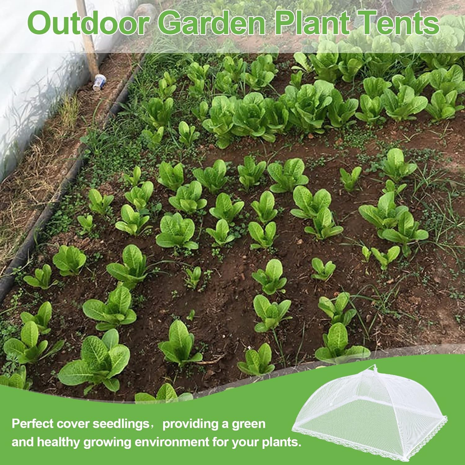 4Pack Mesh Food Covers 17Inch, Large and Tall Food Covers, Pop-Up Mesh Food Covers Tent Umbrella for Bbqs, Outdoors, Screen Tents, Parties Picnics, Fruit Cover image number 6