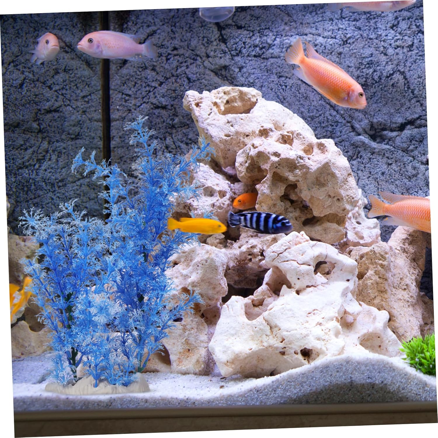 VANZACK Simulation Plant Faux Plant S Pet Aquarium Accessories Skull Cave for Aquarium Turquoise Fish Tank Ornament Simulation Water Grass Fish Tank Decorations Tall Grass Large image number 3