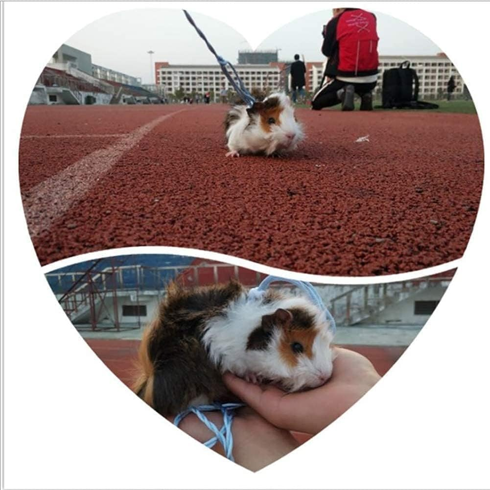 Adjustable Hamster Leash Harness for Rats Ferret Mouse Squirrel Small Animal 1 Pack Useful