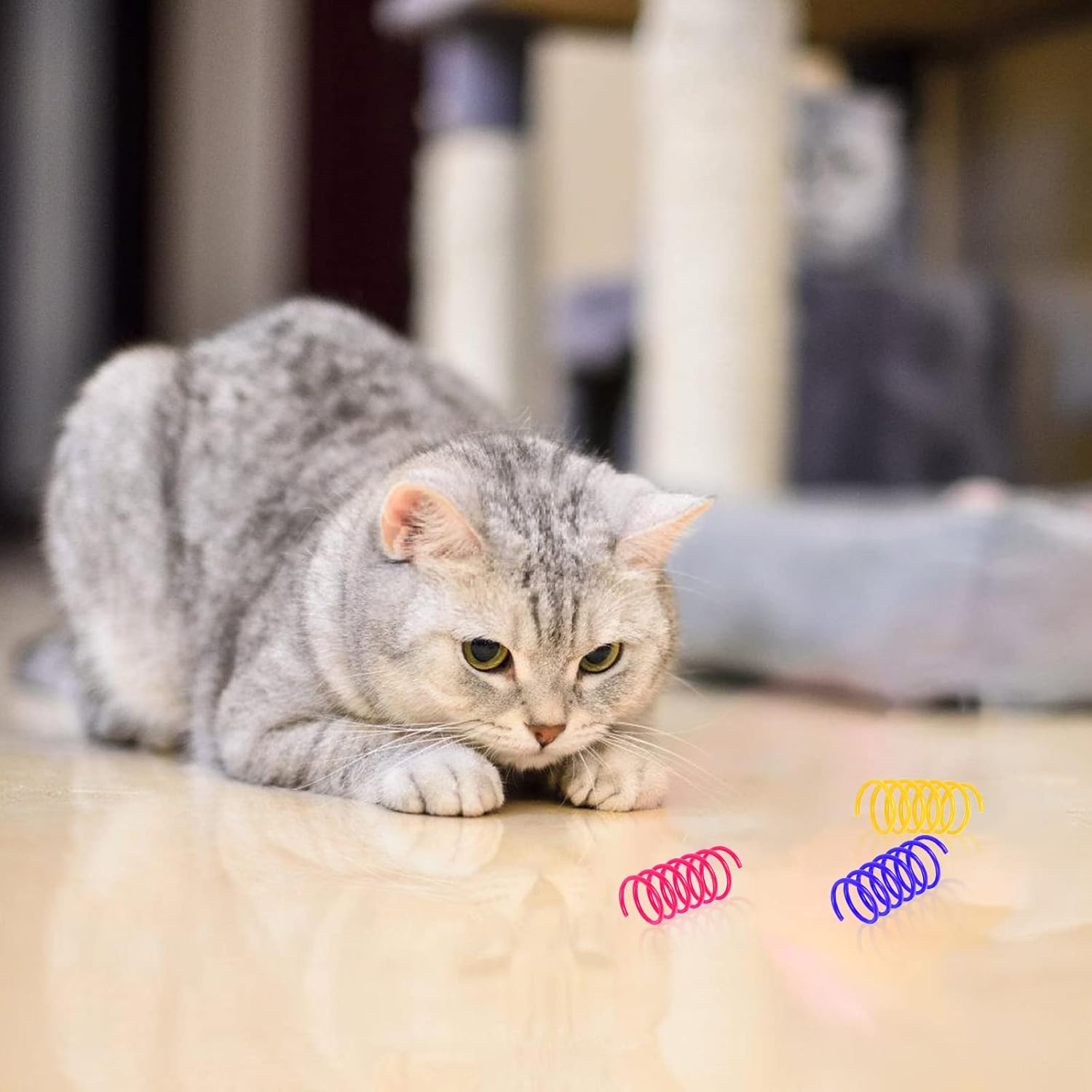 Cat Spring Toy for Cats, Pack of 100 Cat Spring Toys, Interactive Cat Toy, Plastic Spiral Feathers, Spiral Cat Toy, Wide Colourful Spiral Feathers, Spring Spiral for Cat