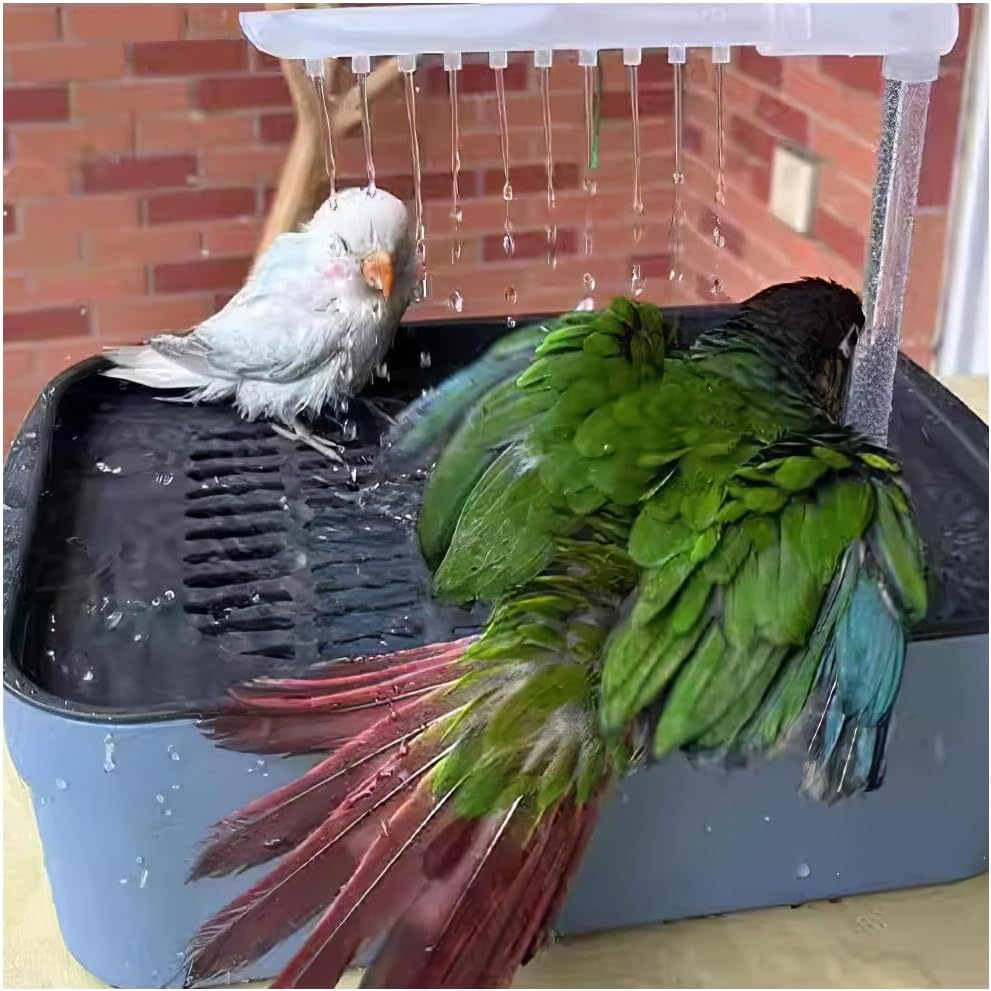 Bird Bath Box With image number 3