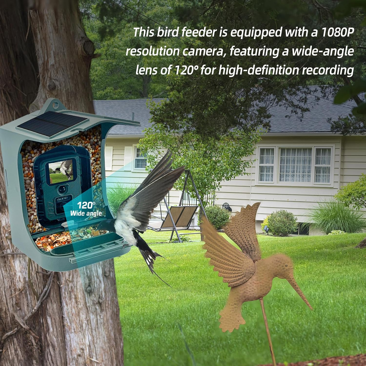 Mingzhe Solar Powered 1080P Wireless Wifi Smart Bird Feeder Camera Waterproof Bird Watching Camera image number 4