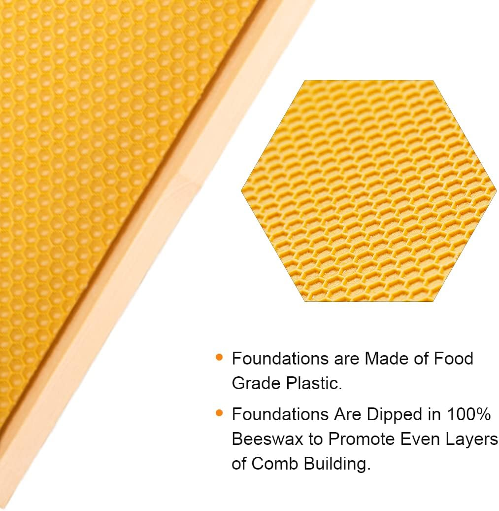 Deep Brood Beehive Frames with Wax Foundation,10 Pack Honey Bee Frames with 100% Beeswax Coated Food Grade Foundation Sheets, 9-1/8-Inch(Yellow) image number 3
