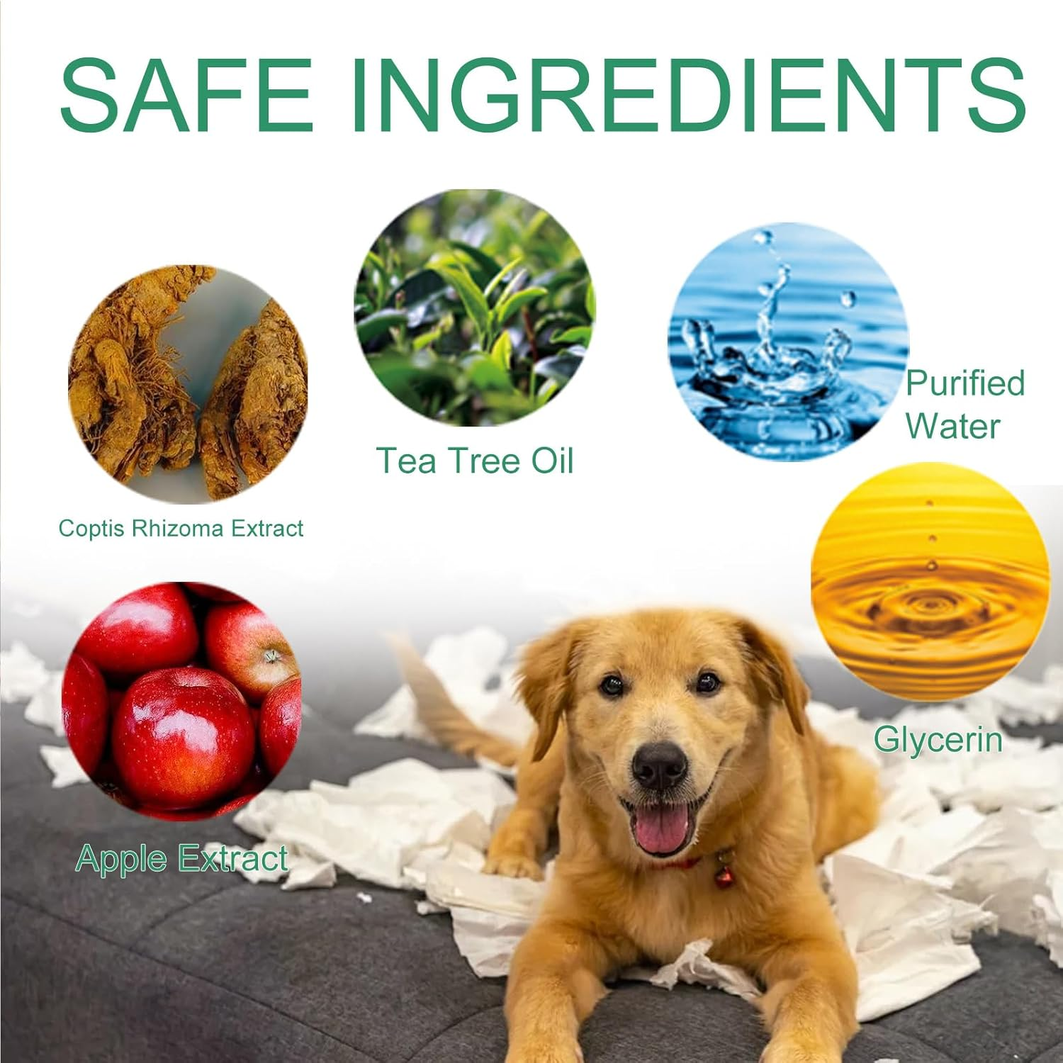 Anti Chew Spray for Dogs and Cats, Anti-Chew Spray, Anti-Nibble Spray, Bitter Spray for Dogs and Cats, anti Chew Spray for Dogs Puppies, anti Nibble Spray Training for Dogs Cats 30 Ml image number 5