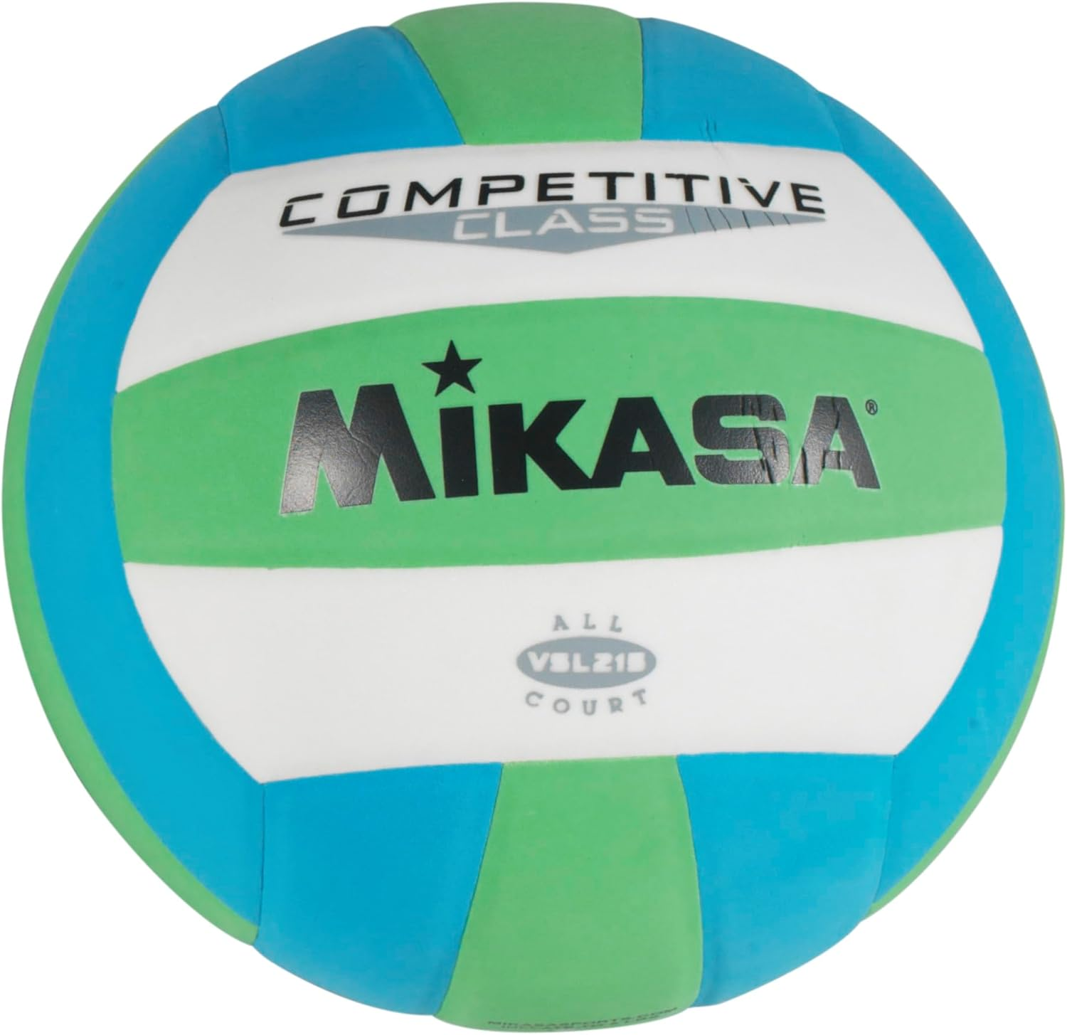 Mikasa Competitive Class Volleyball