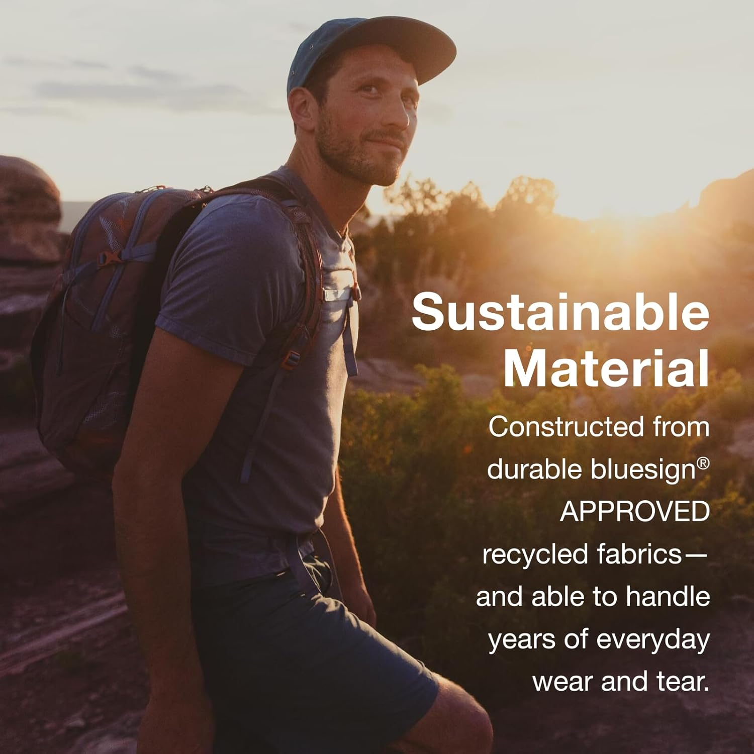 Osprey Osprey image number 2