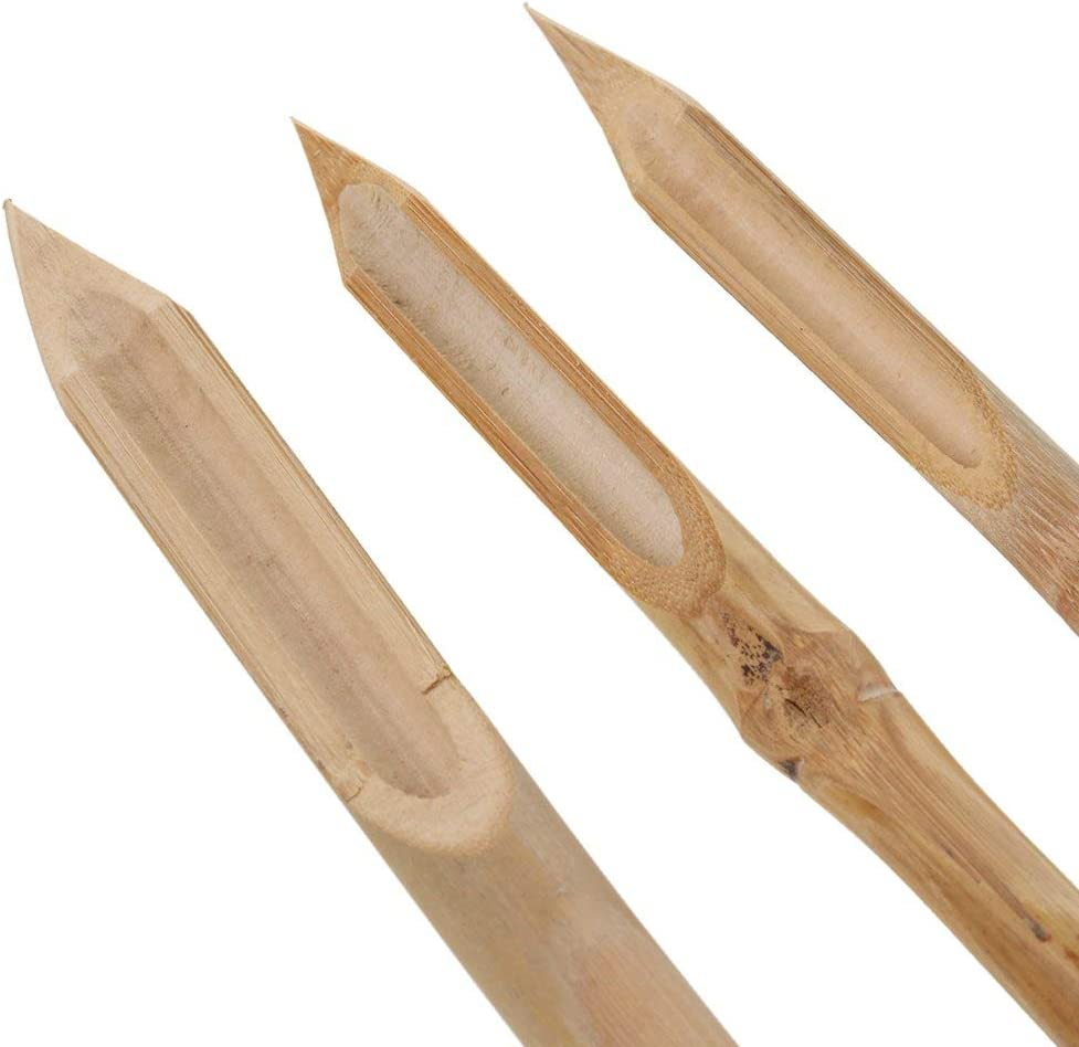 Hard Strong Bamboo Reed Pens Pottery Ceramic Shaping Tools Polymer Clay Tool image number 1