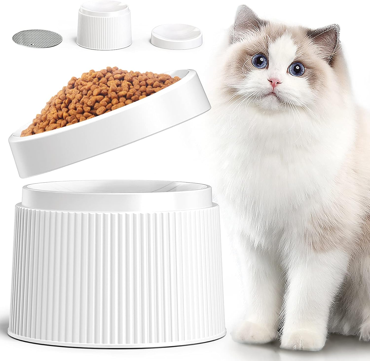 Ipettie Elevated Cat Food Bowl Cat Dish, Tilted Pet Feeding Station with Stand for Small Dog, Made from Certified Food-Safe Plastics, Better than Stainless Steel and Ceramic image number 3