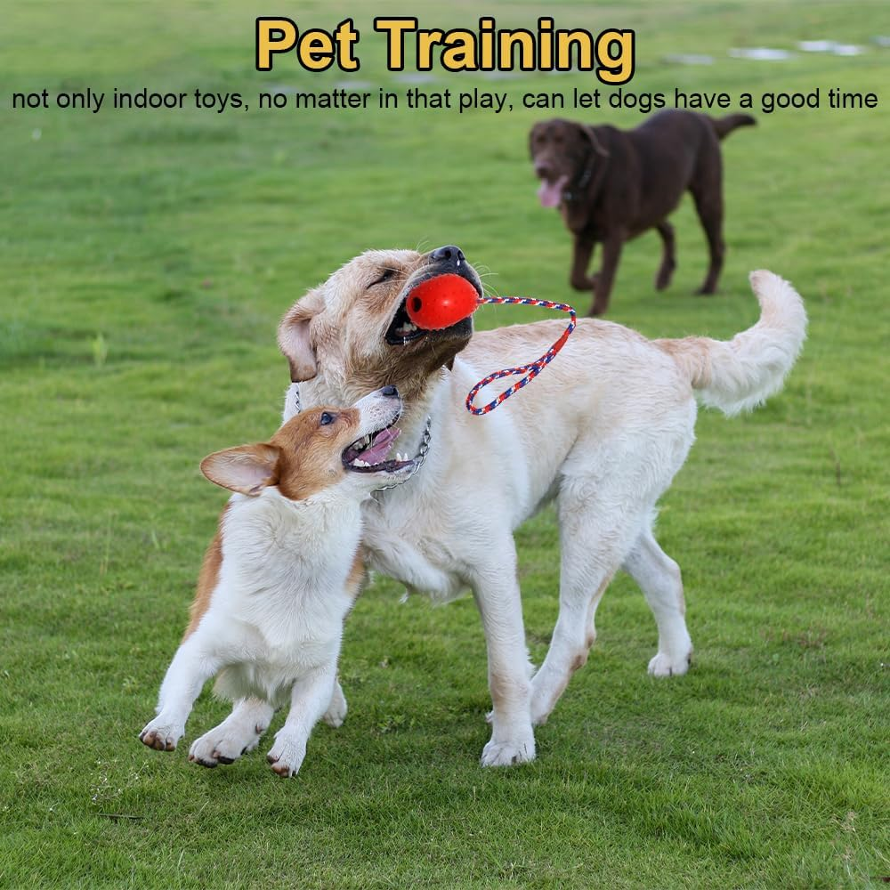 4 Balls with Cord Dog, Diameter 5/30 Cm, Dog Ball with Cord, Dog Toy Ball with Rope, Throwing Ball Dog, Soft and Elastic Solid Rubber Ball for Large and Small Dogs, Throwing, Catching (Red, Yellow,