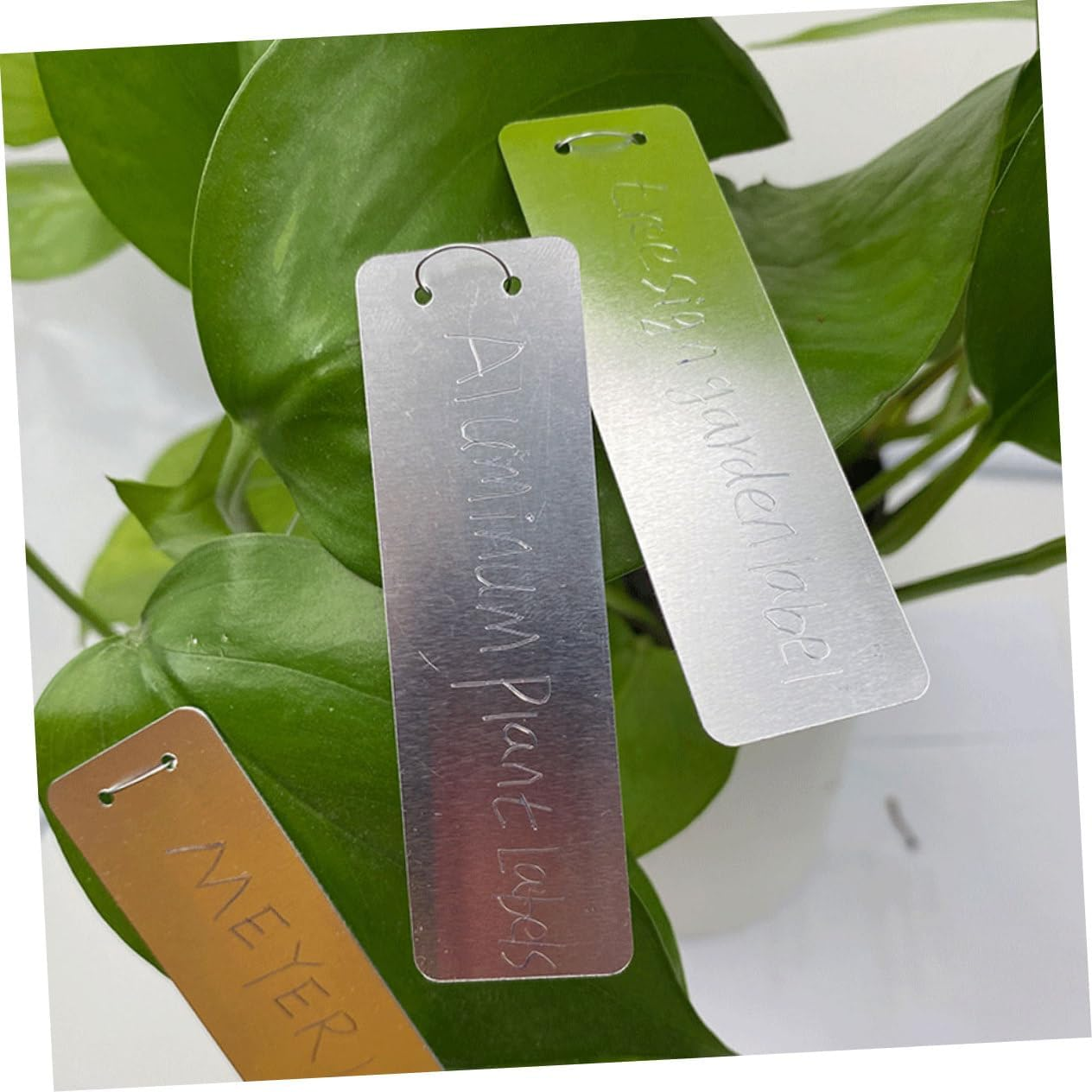 Levemolo 10Pcs Garden Supplies Metal Plant Labels Wide Plant Name Tags for Outdoor for Gardening image number 6