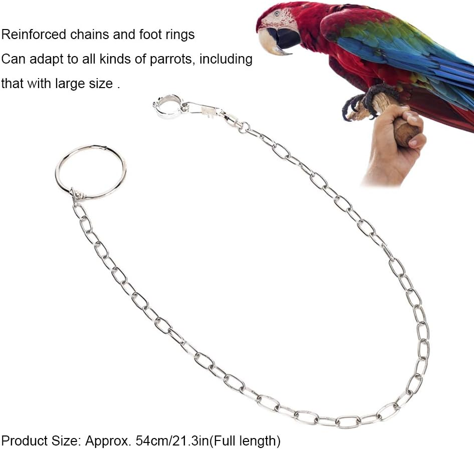 Mrisata Conure Harness Anklet 54Cm Stainless Steel Split Anklet for Large Pets Training Anklet for Birds Parrot image number 2