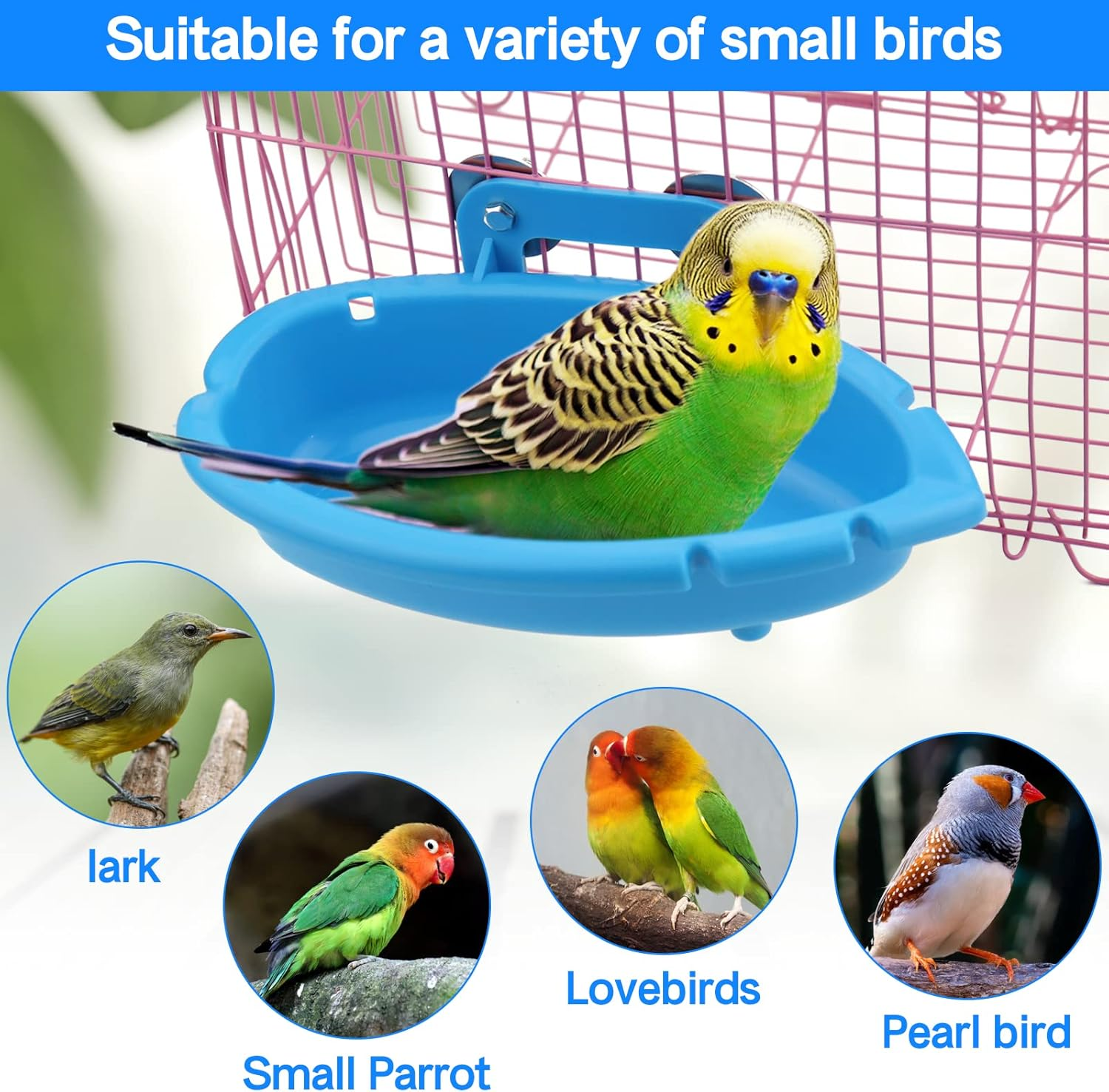 Mygeromon Bird Bath for Cage-Small Tub Bowl for Hang inside Cage Birdbath Shower for Parrot/Parakeets/Cockatiels/Canary/Budgerigar (Blue) image number 1